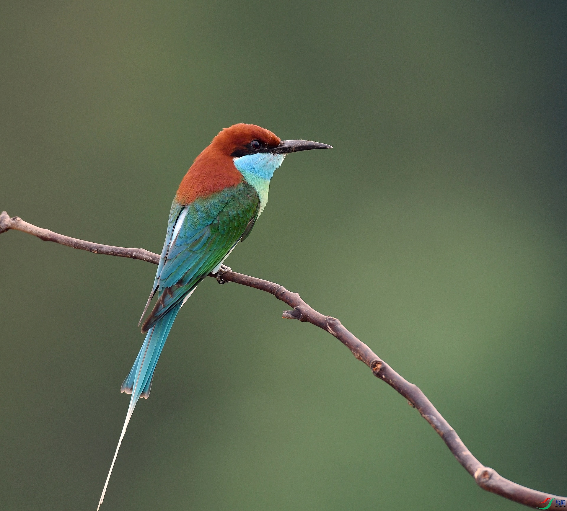 DSC_5766.jpg