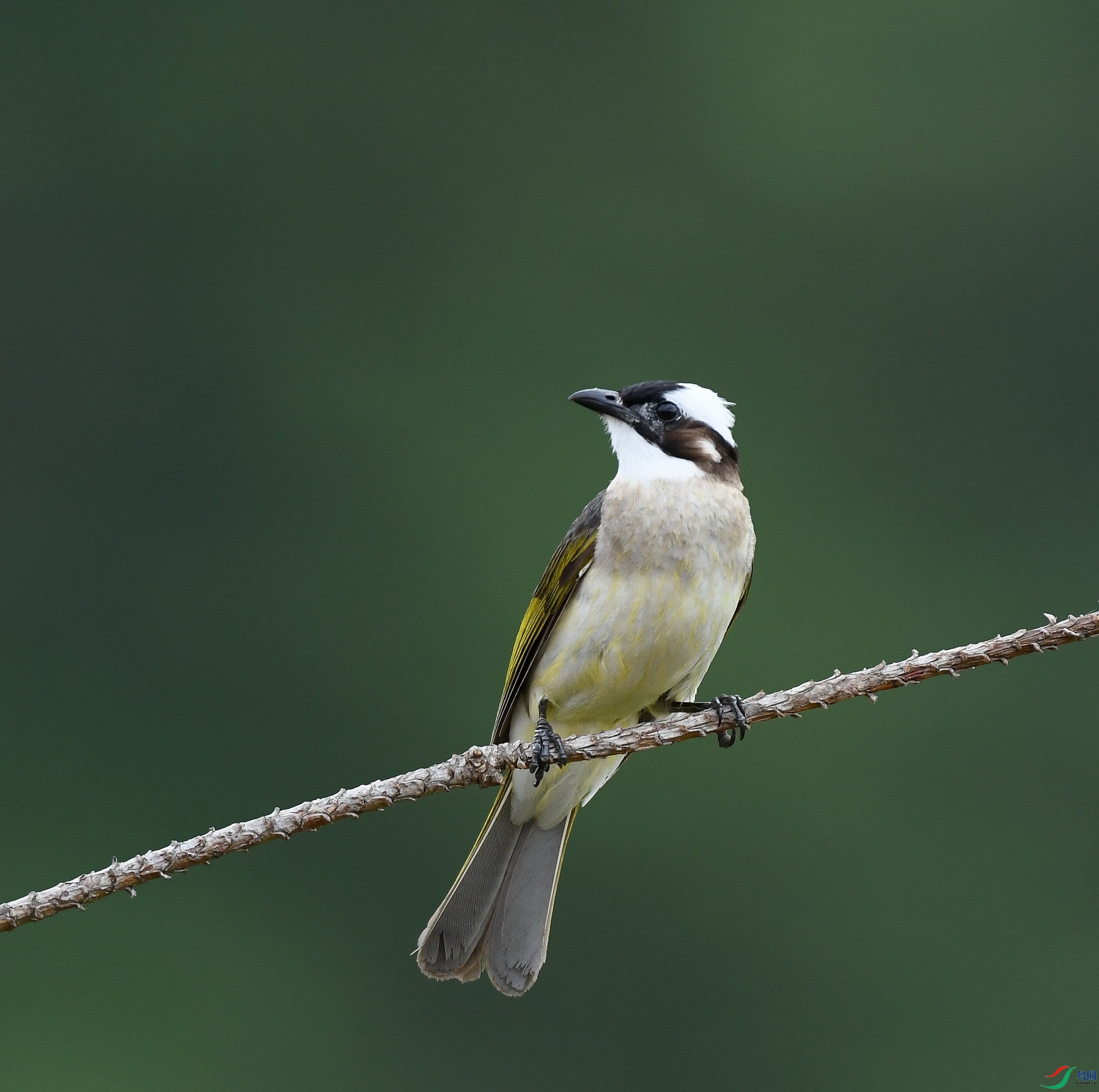 DSC_5776.jpg