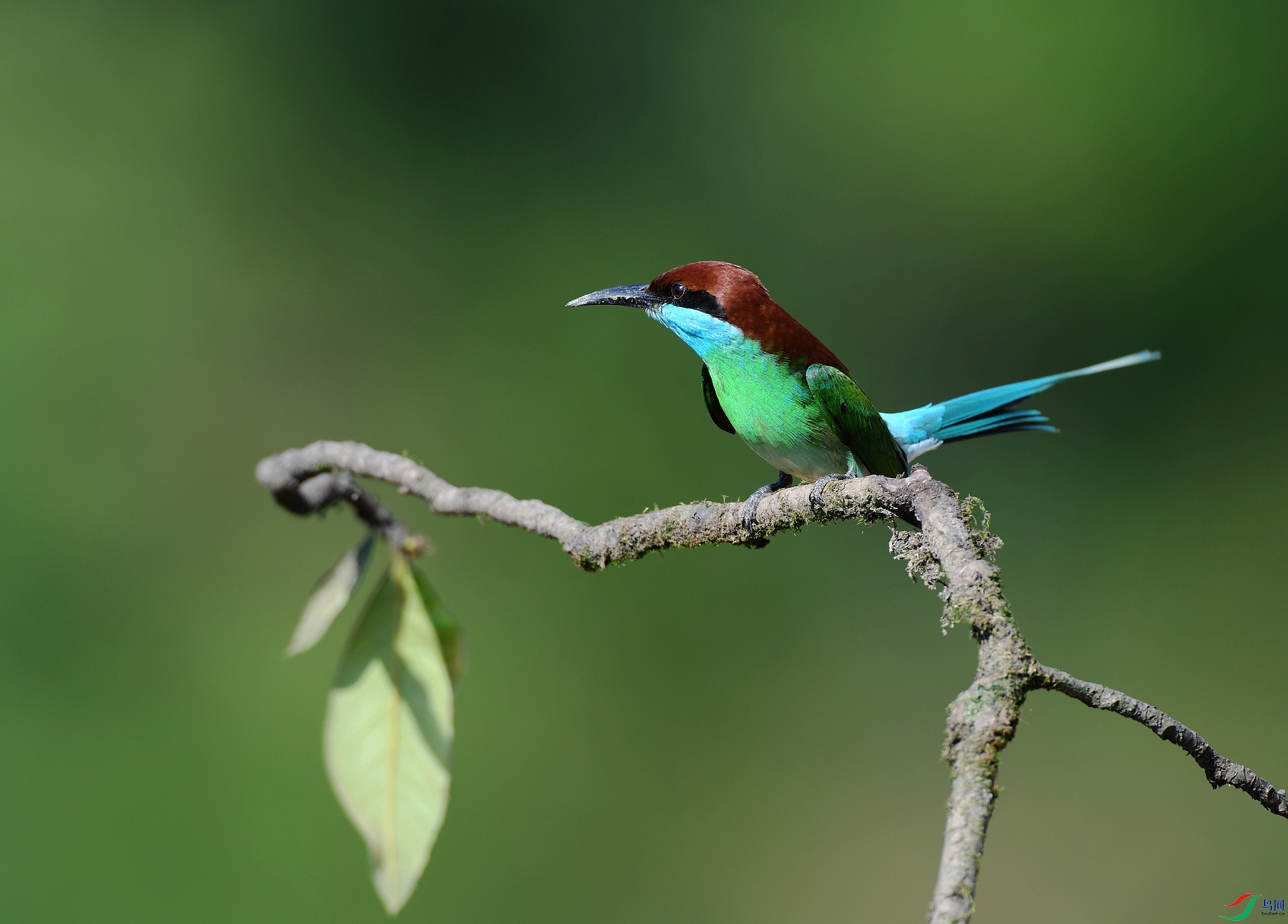 DSC_5623.jpg