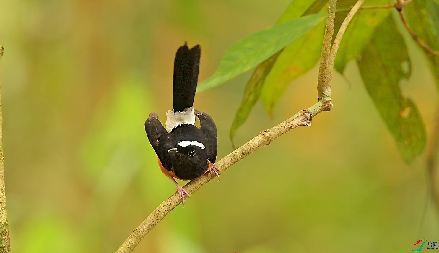 {8C7BE7D4-67BB-4968-84FD-2A002B06DAA9} ����.jpg