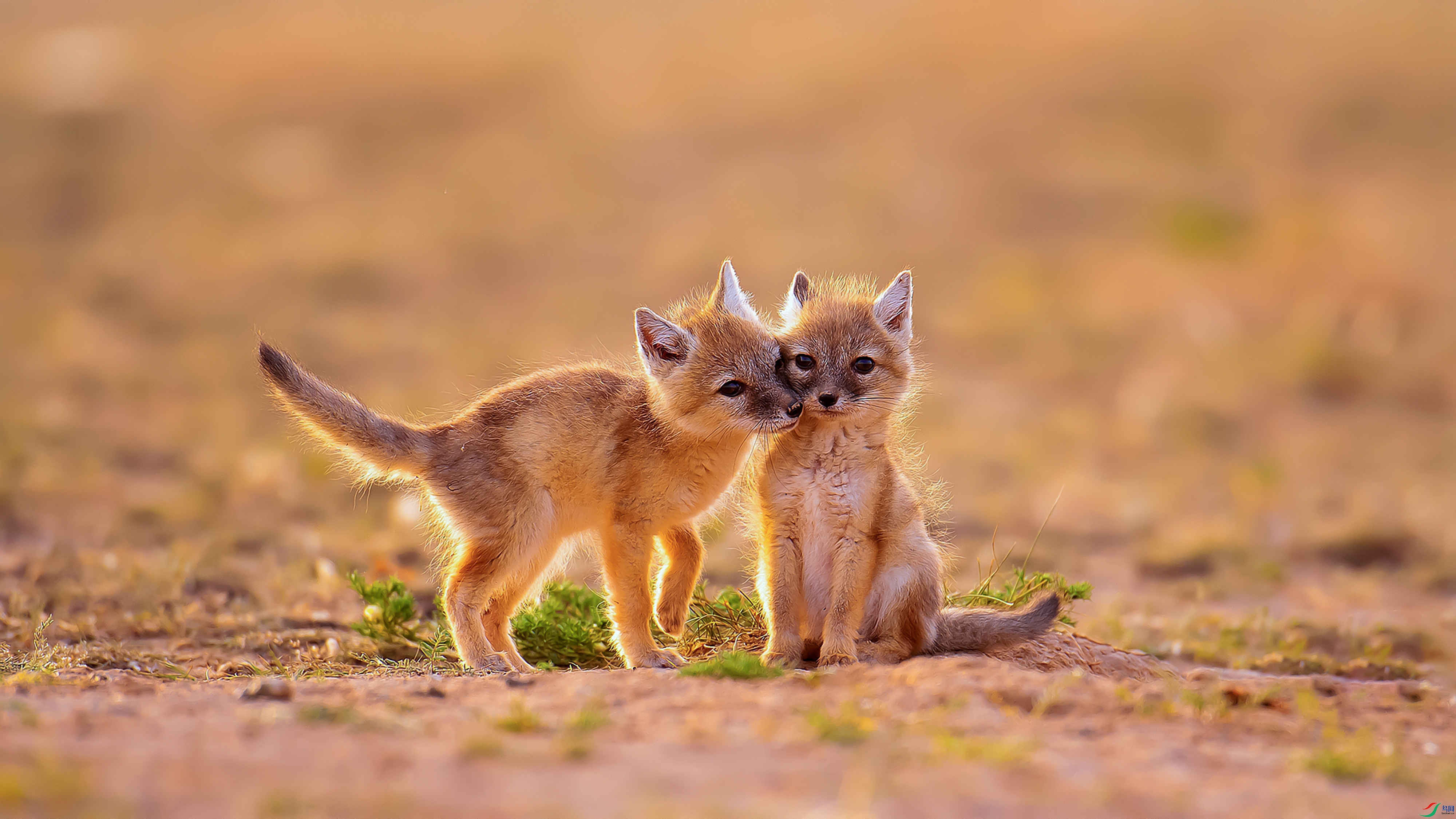 YJY_1360_���� ����.jpg