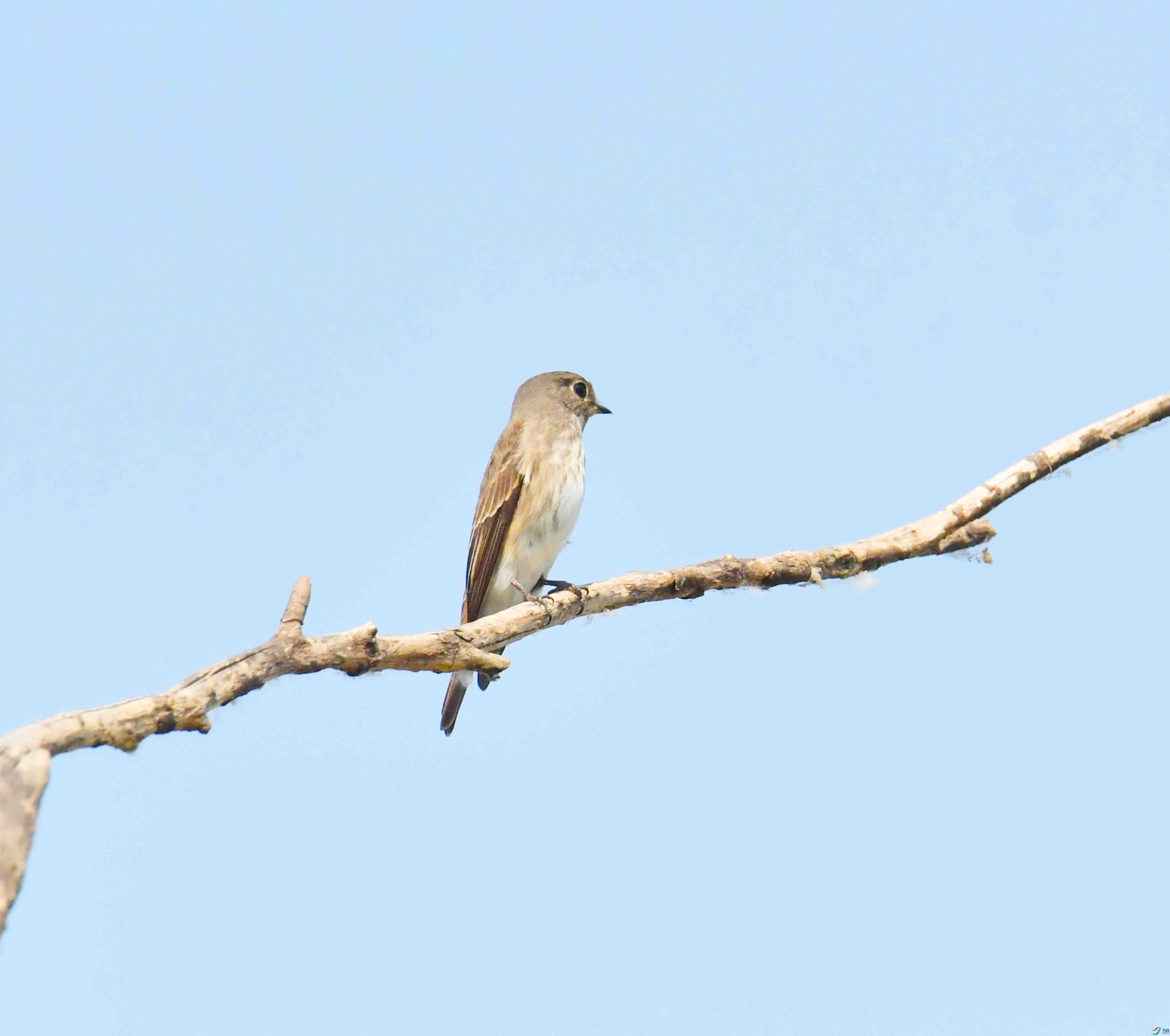 DSC_2086.JPG