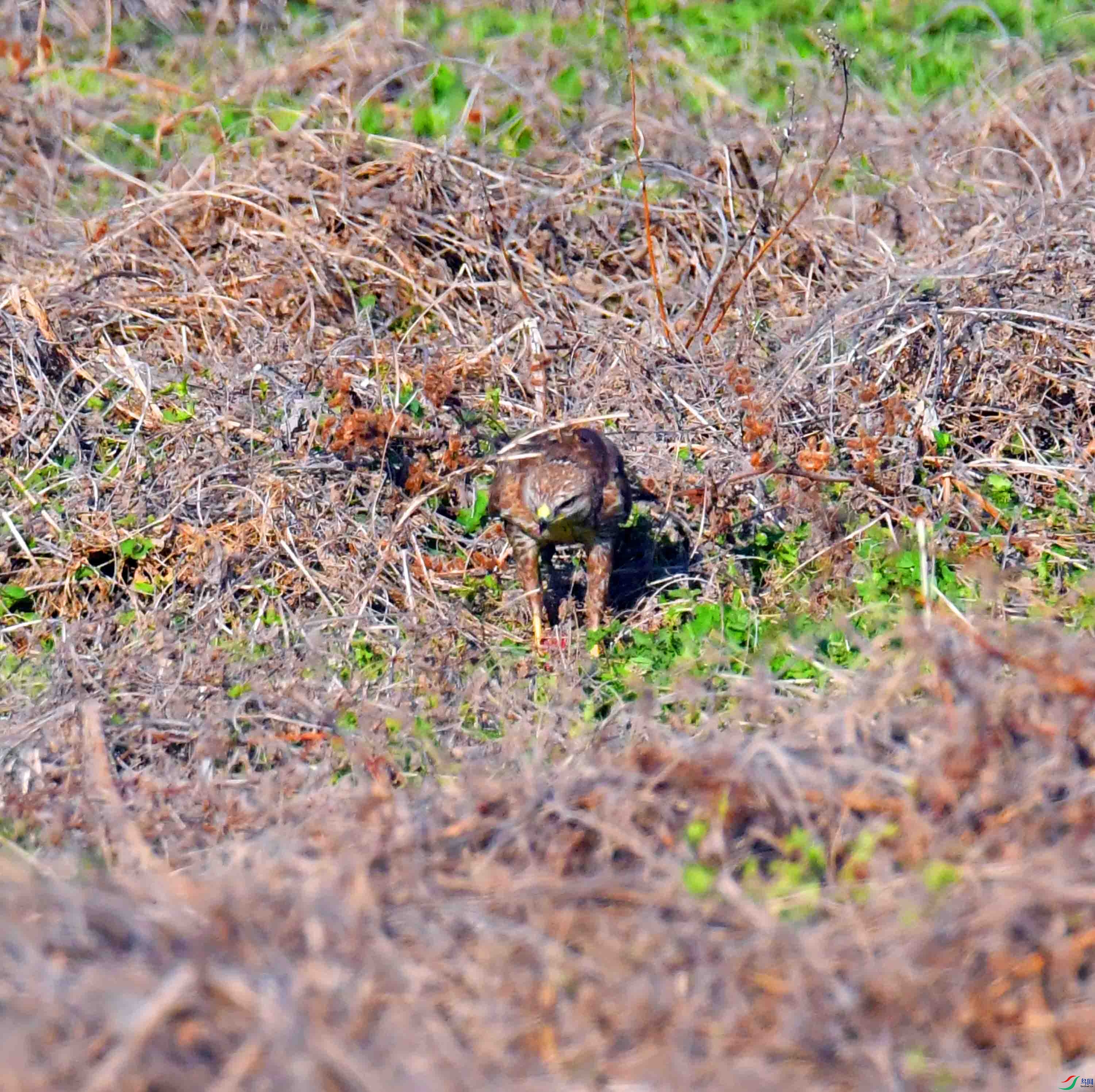DSC_7839.JPG
