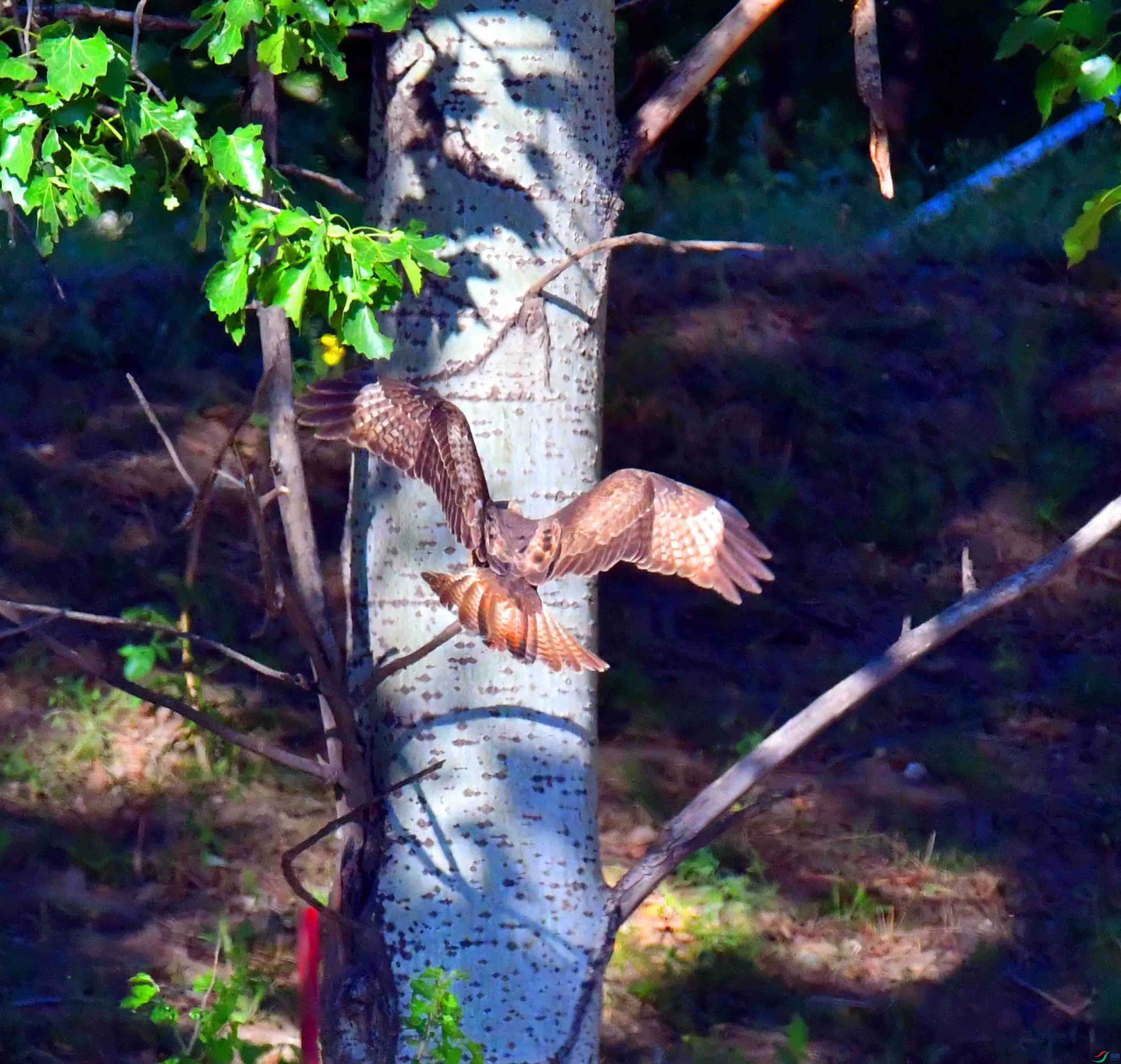 DSC_8136.JPG