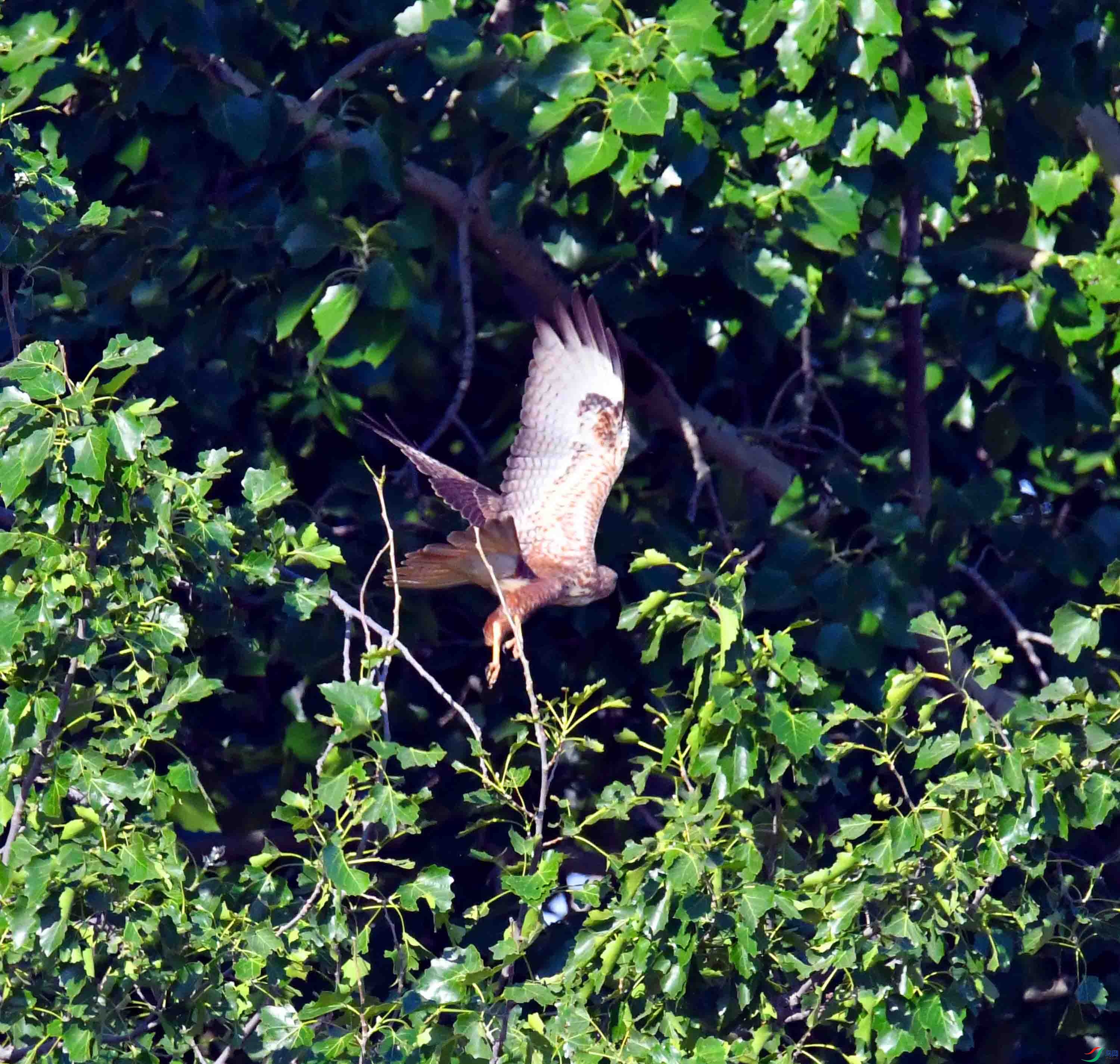 DSC_8154.JPG
