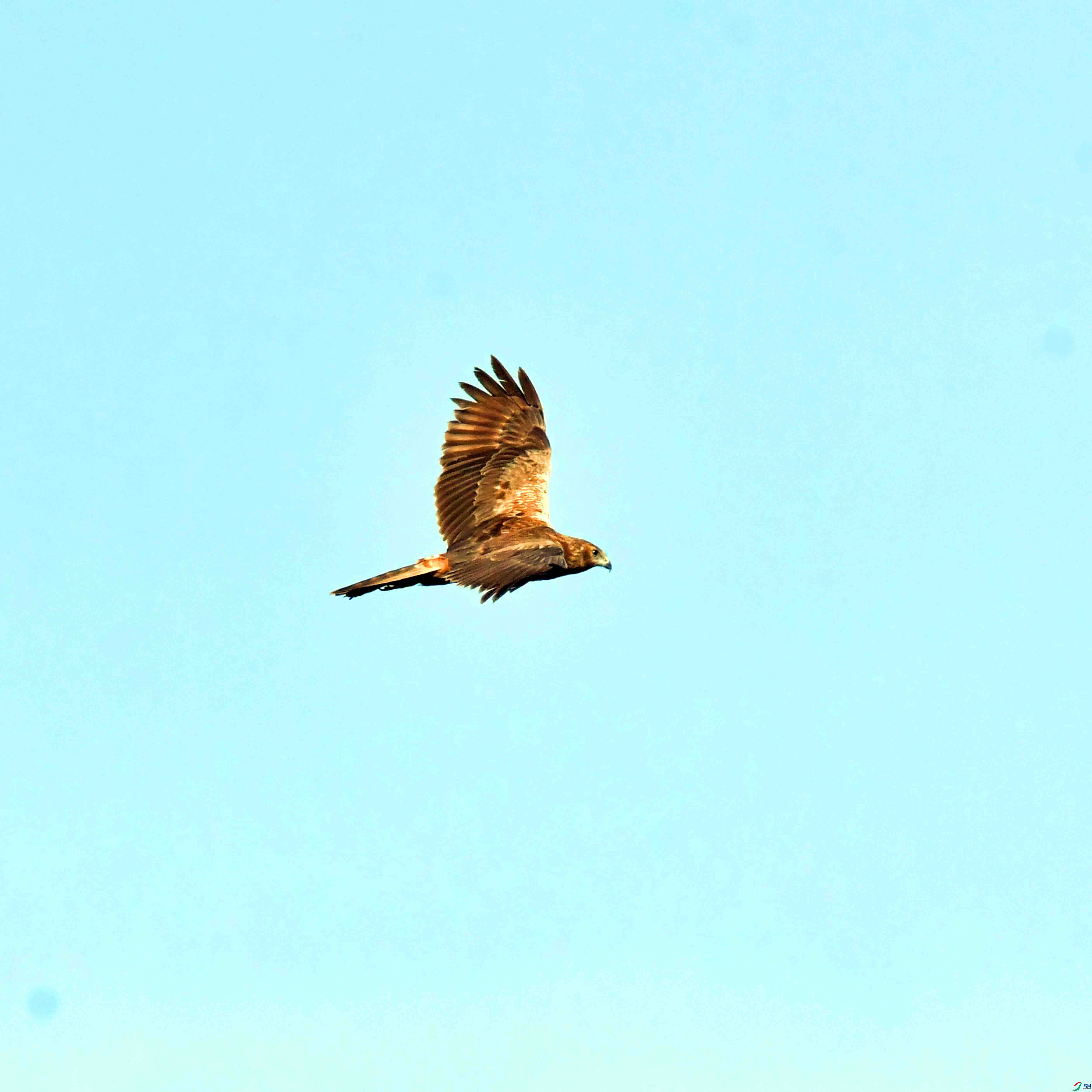 DSC_8182.JPG
