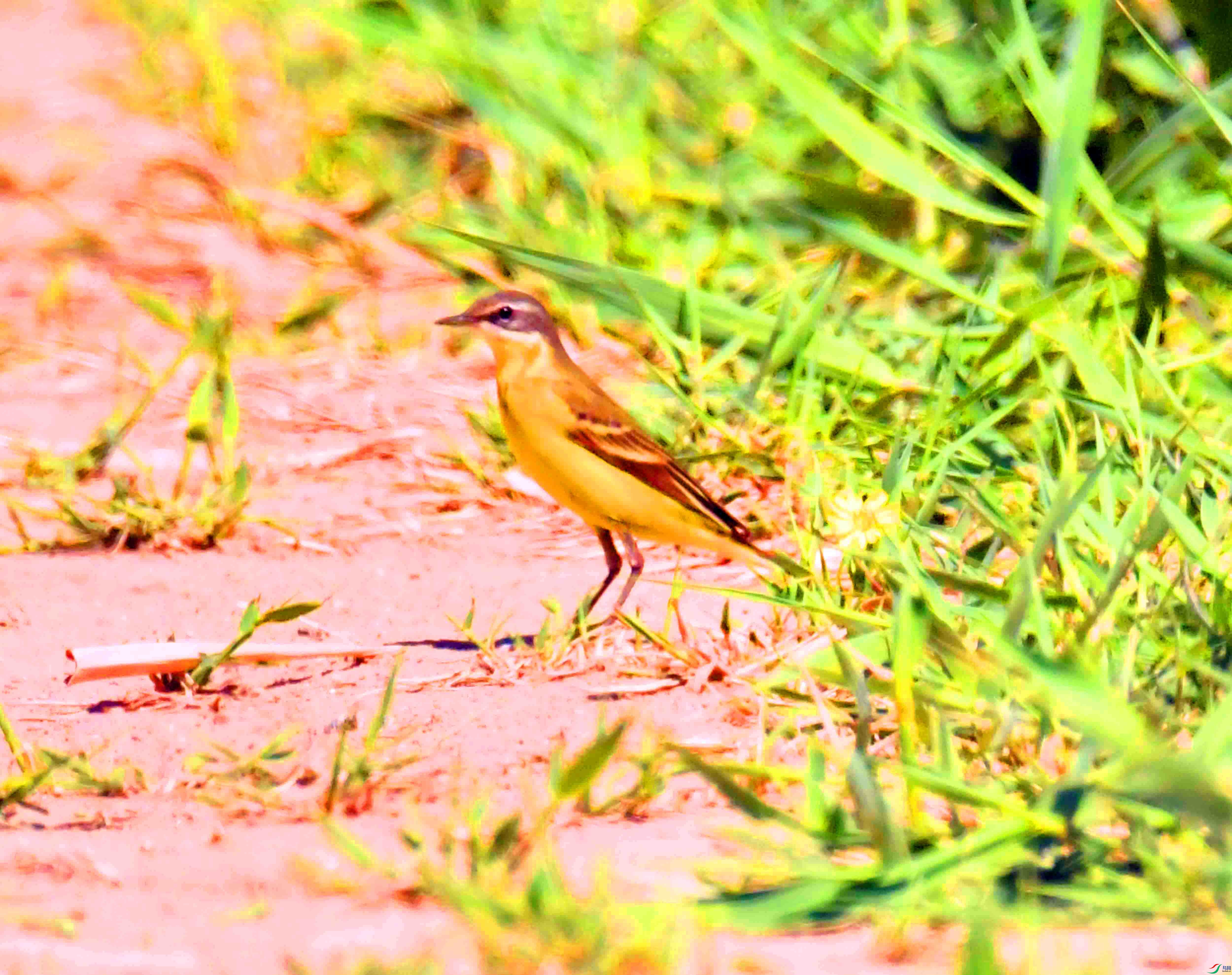 DSC_9609.JPG