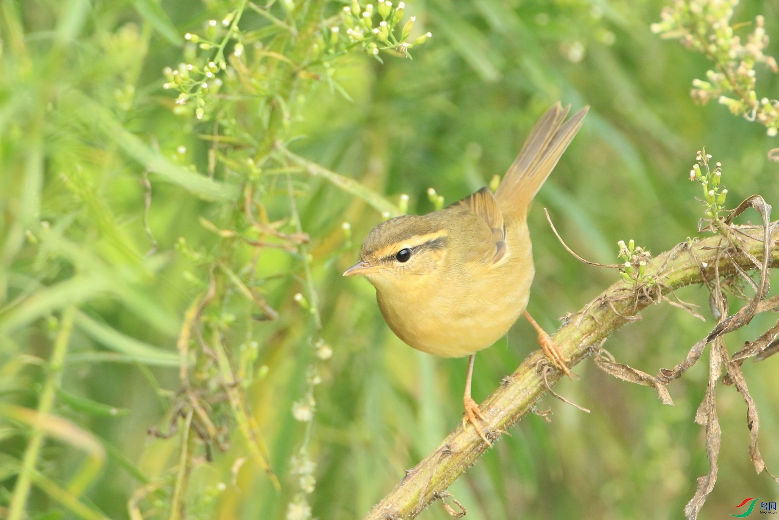 2  ������ݺ  0F4A6738.jpg