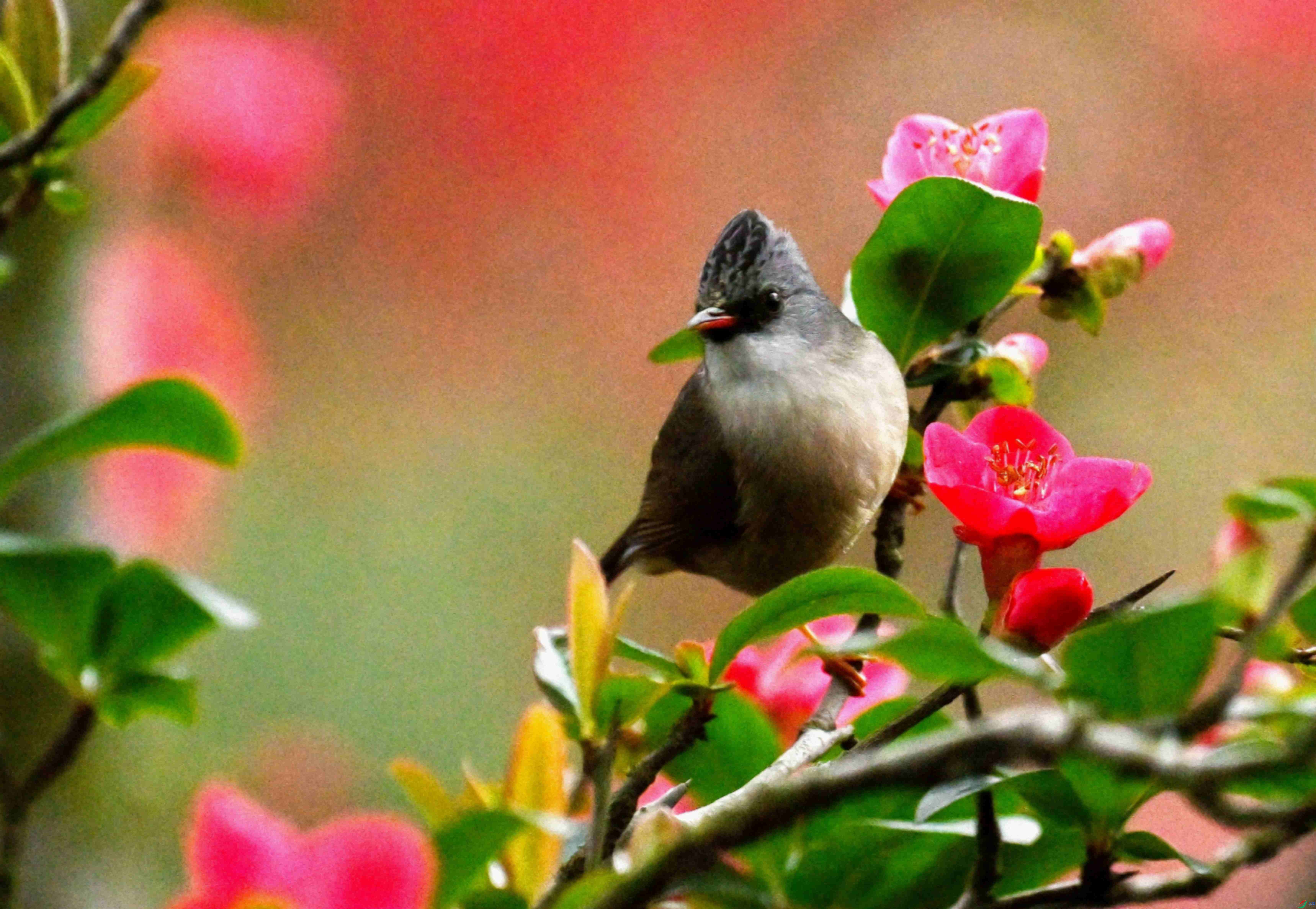 DSC_2569.jpg