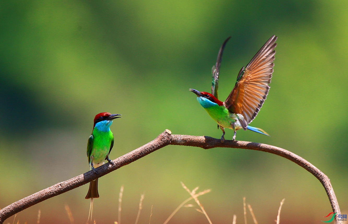 H46R5538_���� (2).jpg