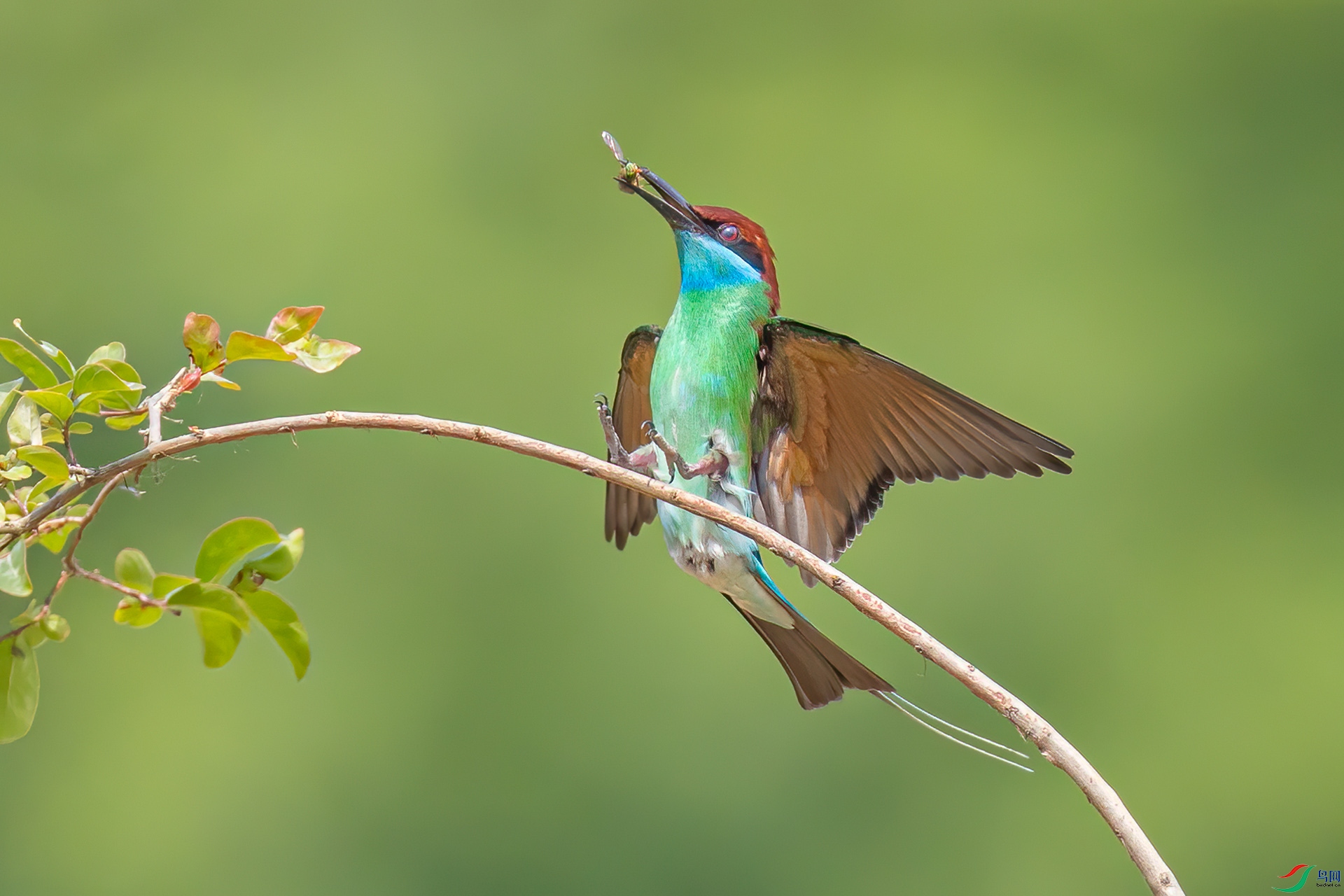 _32I0232 ����.jpg