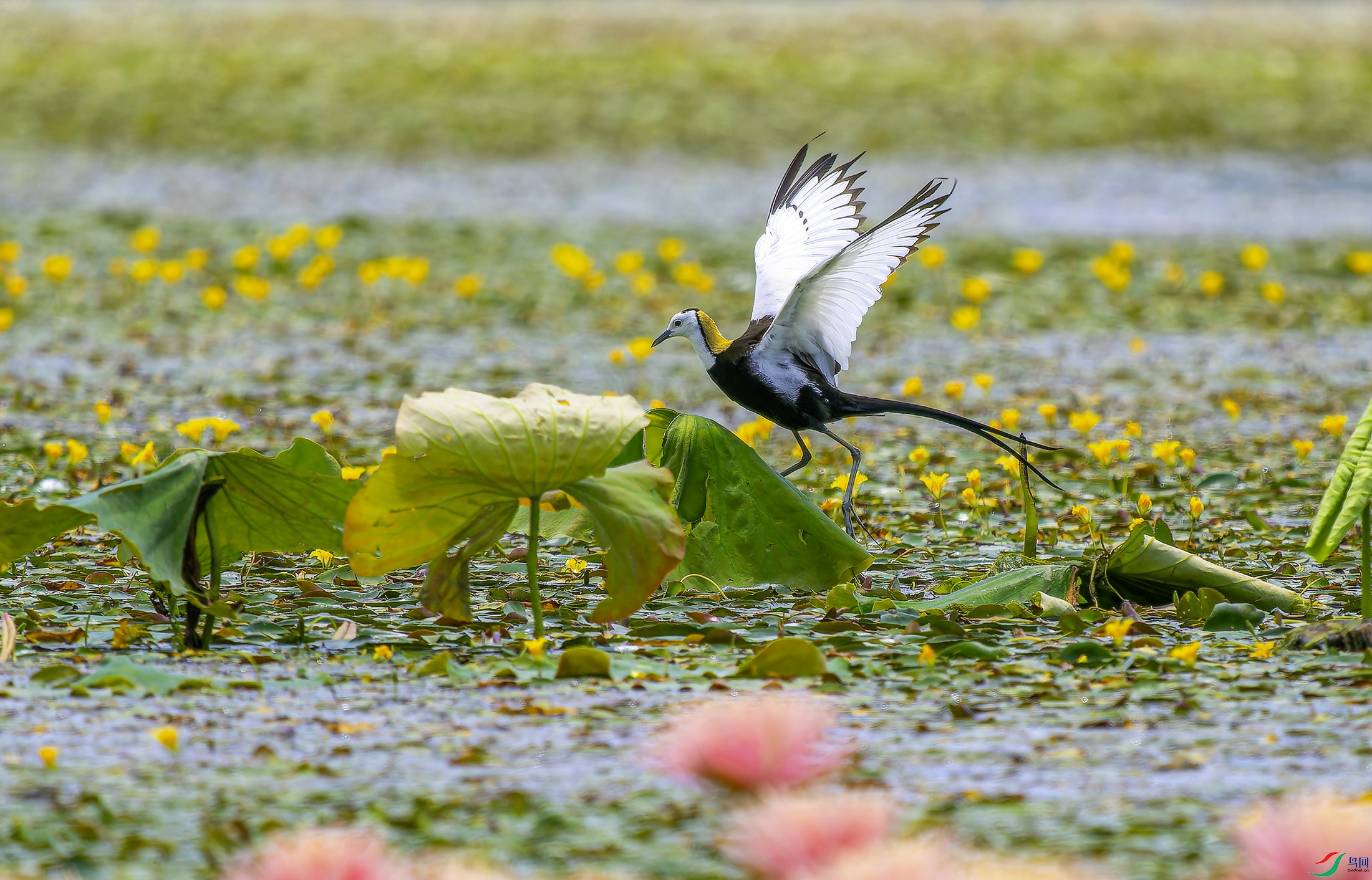 ˮ��-20 (12)-1.jpg