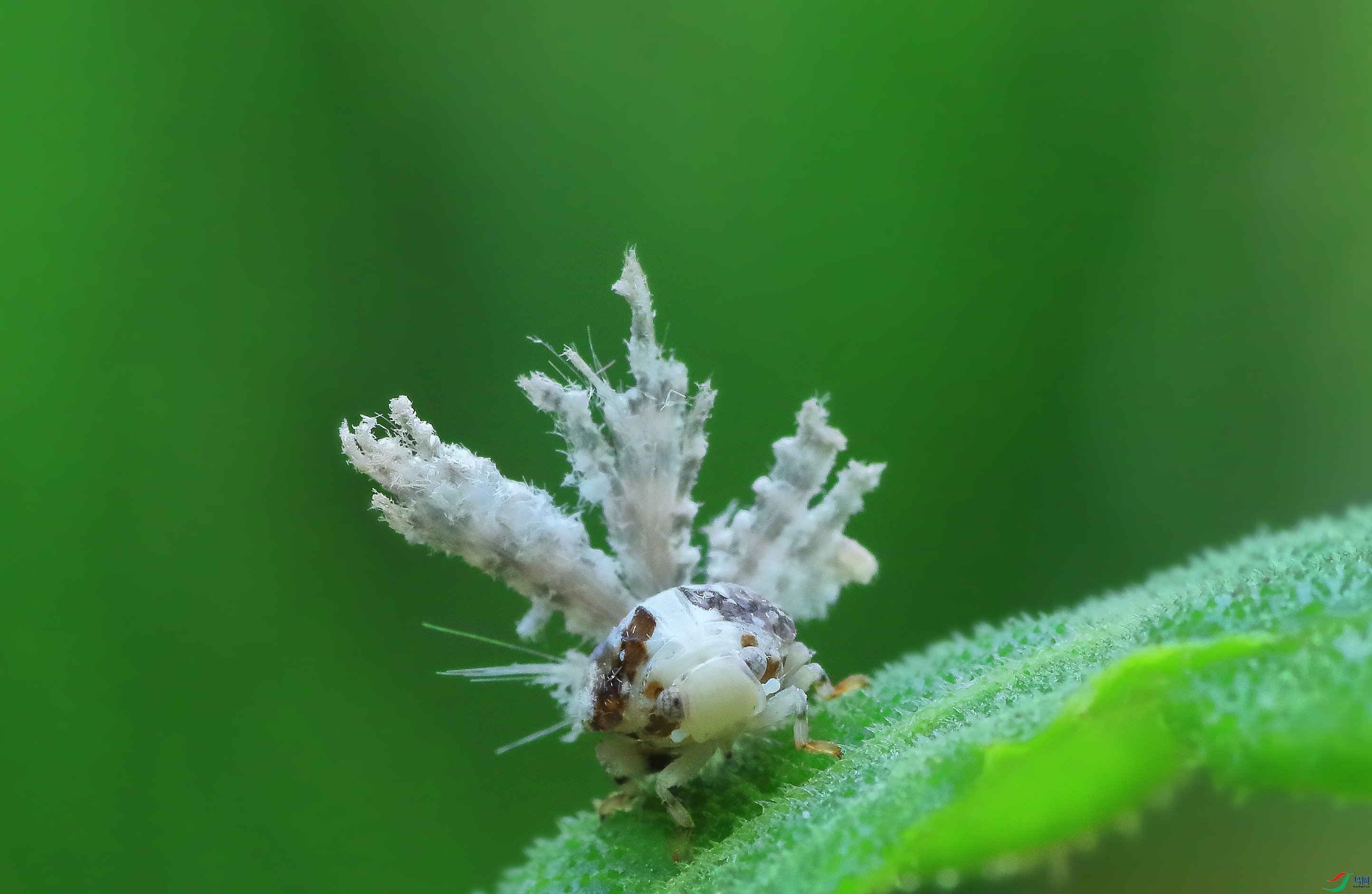 7T8A0027_����.jpg