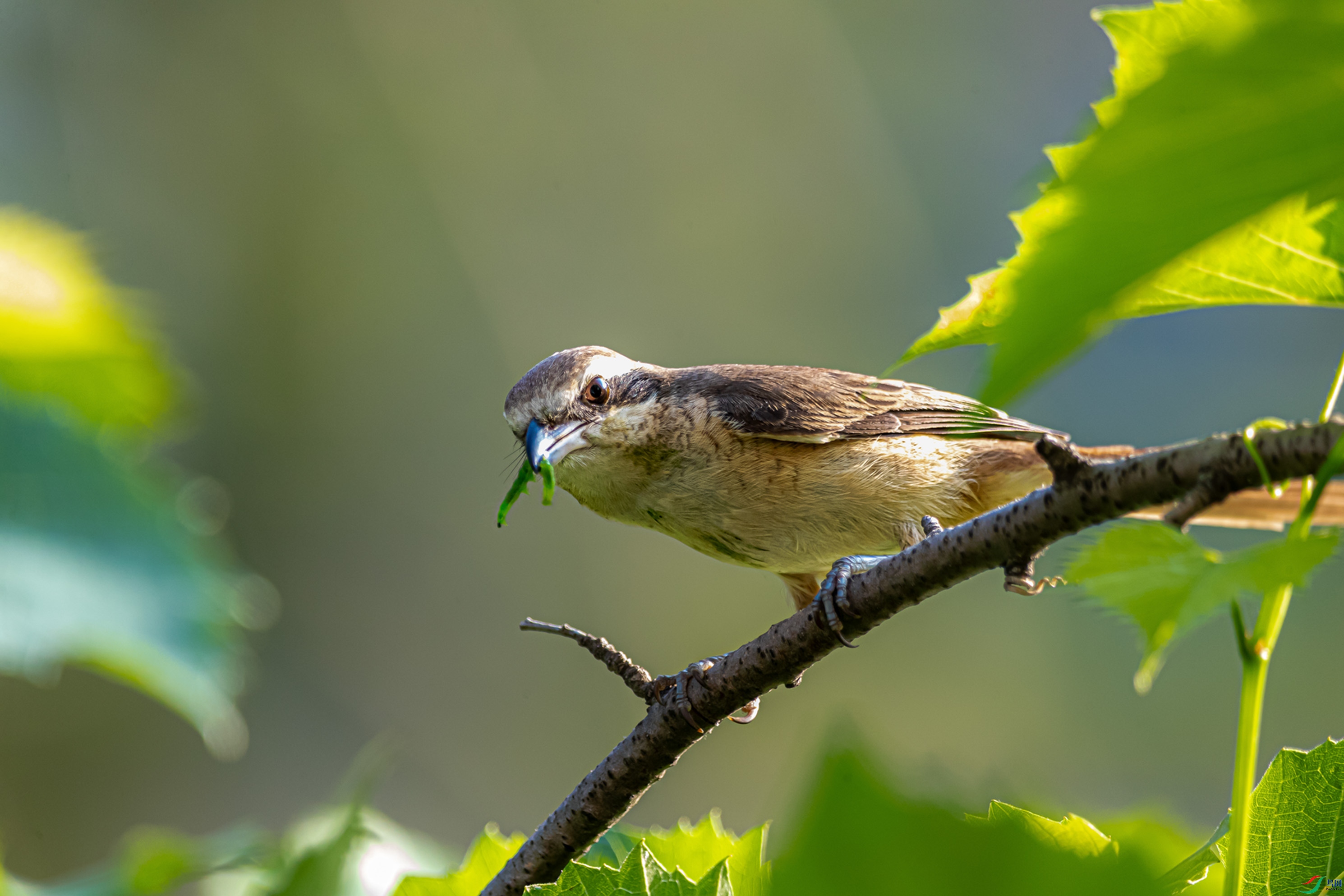 A63I6846 - ����1.jpg