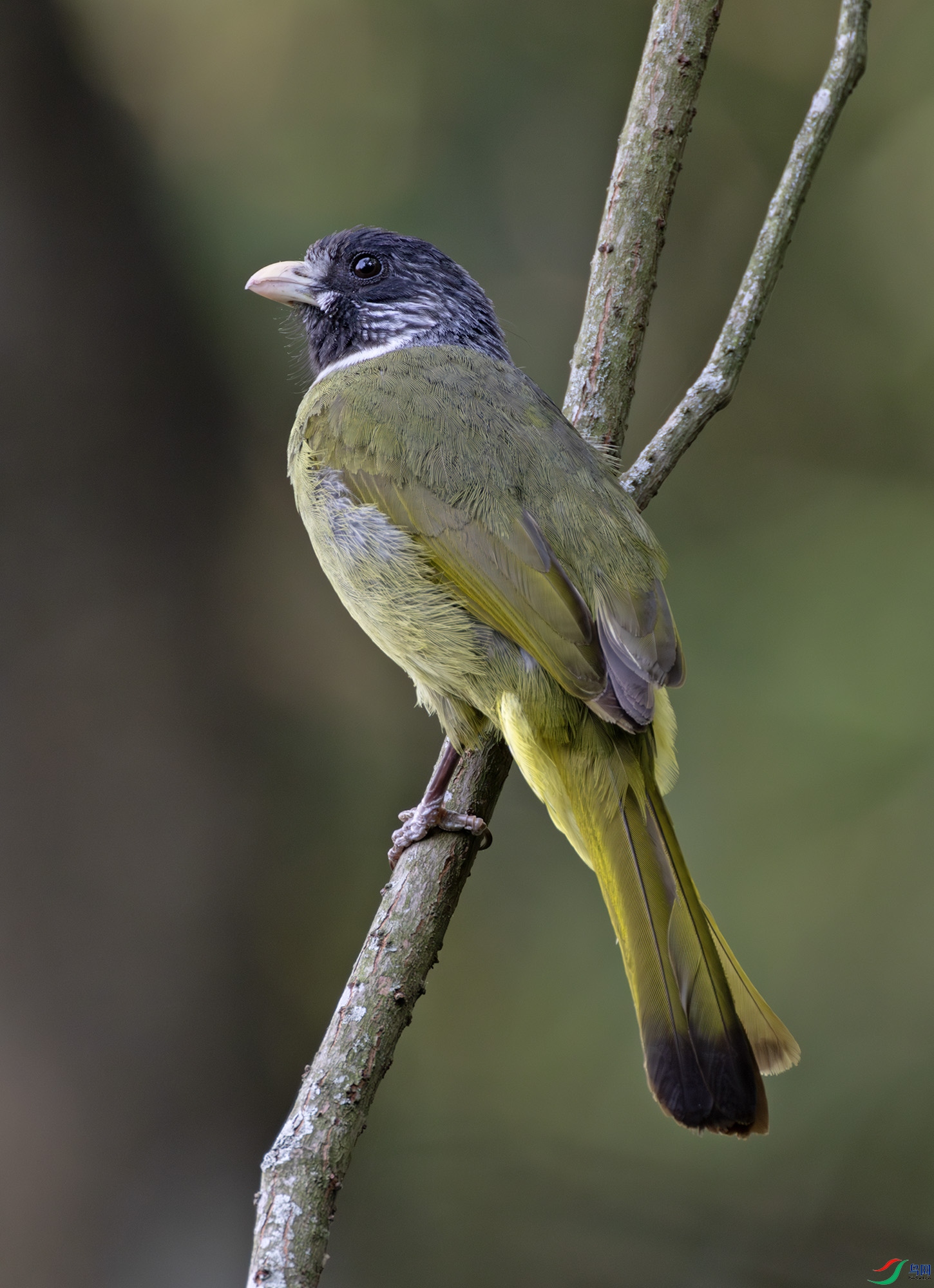 2I1A5354-����ǿ-NR ����.jpg