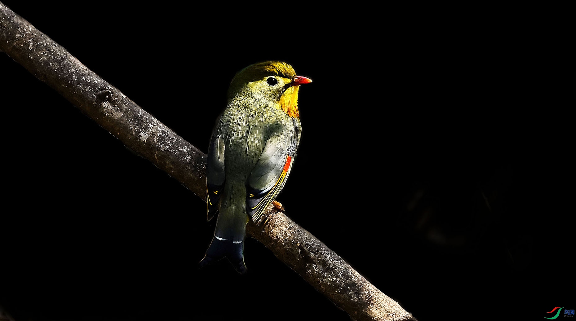BL8A9956-.jpg