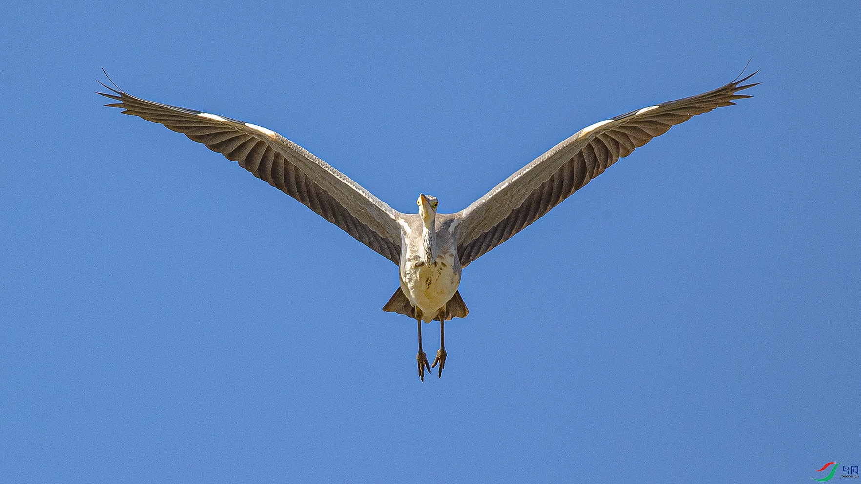 _90I6436 ����.jpg