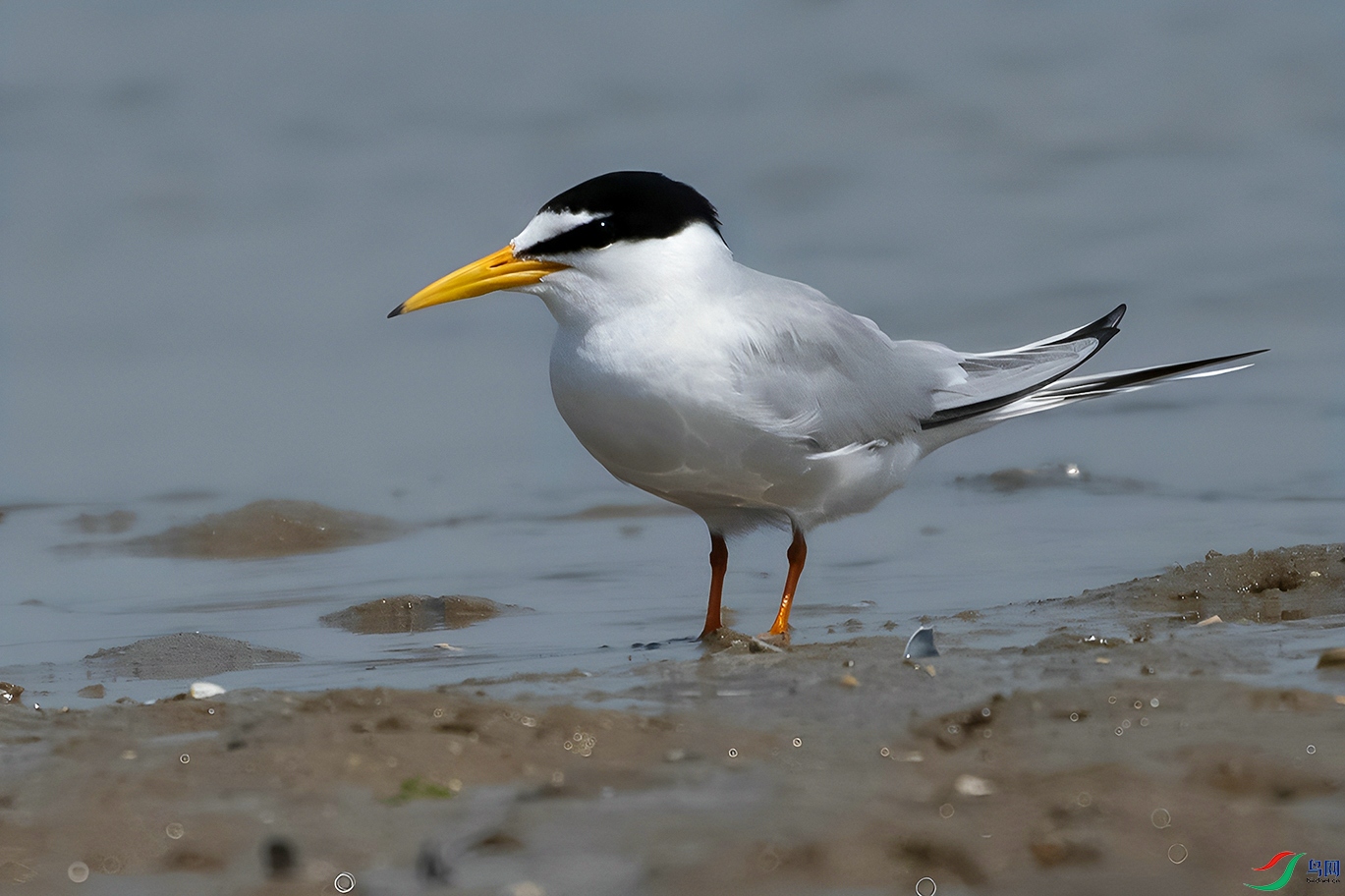 DSC_7232=.jpg