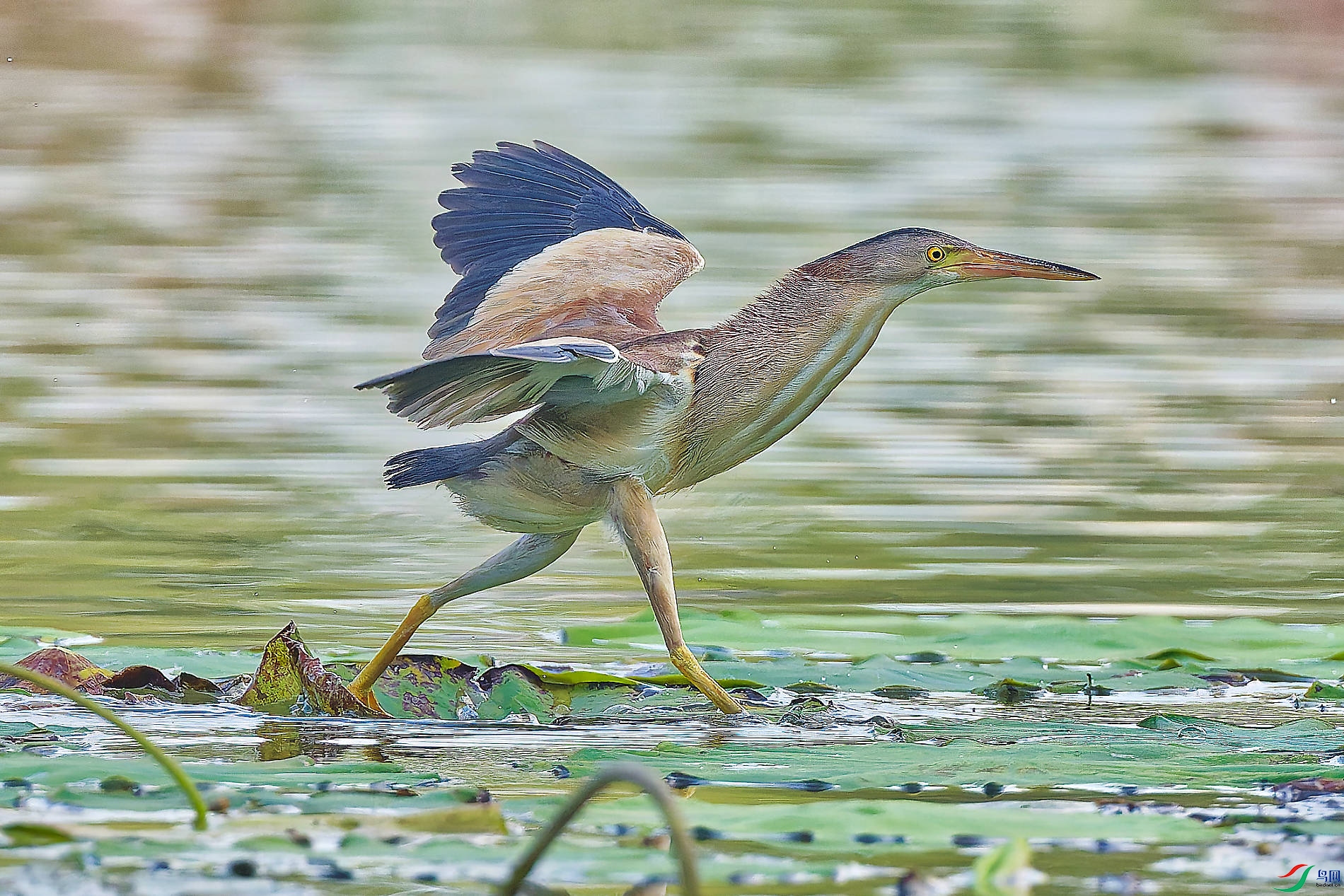 DSC_6860_DXO_DXO.jpg