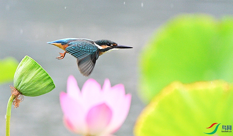 DSC_3670.JPG