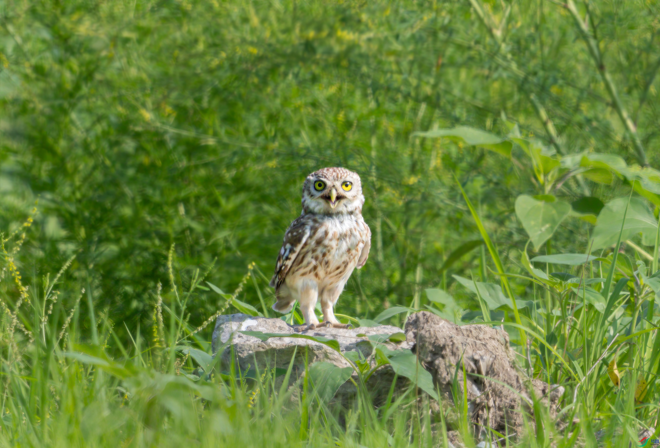 _13A1401.jpg