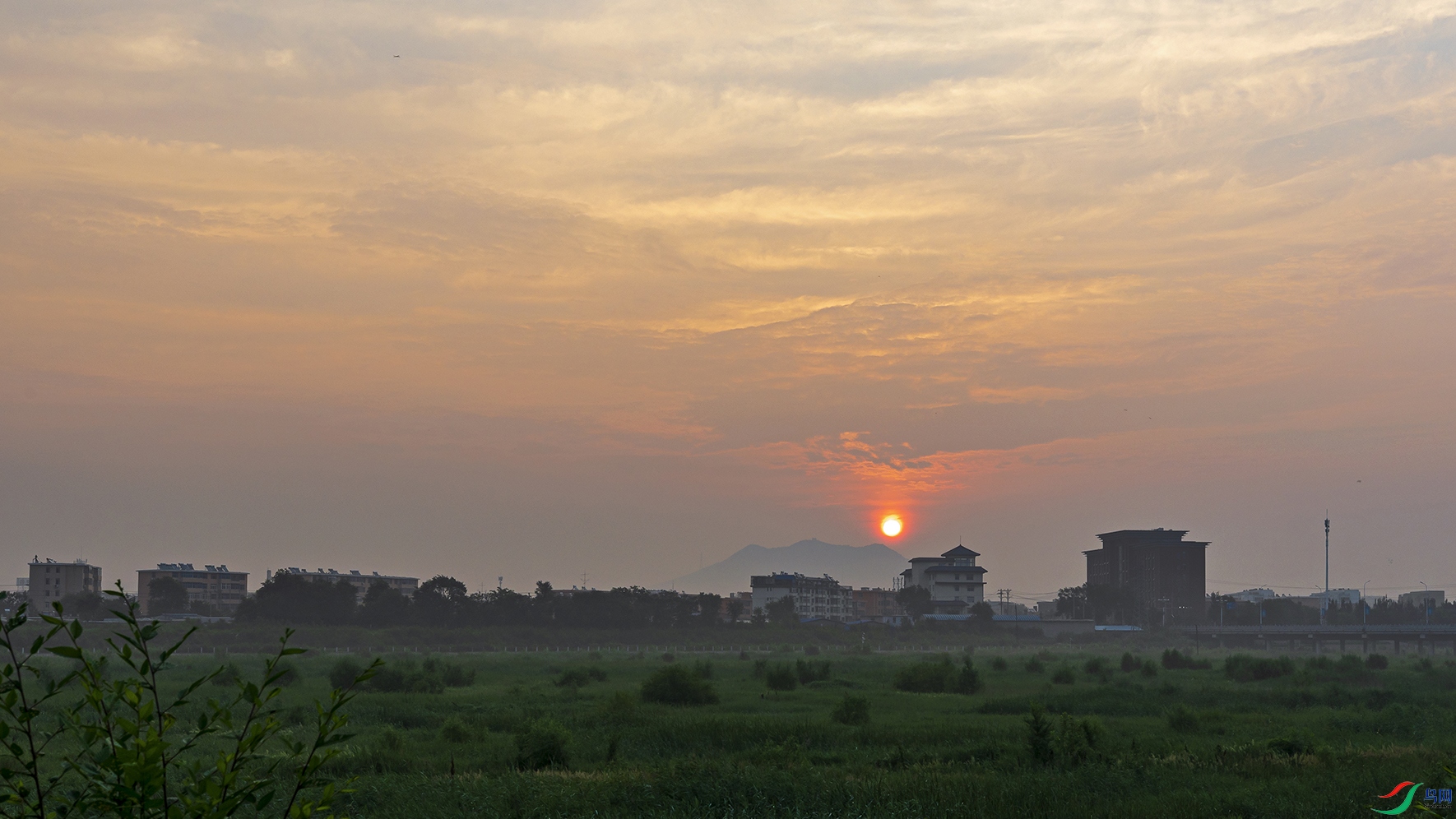 _4LM2210a.jpg