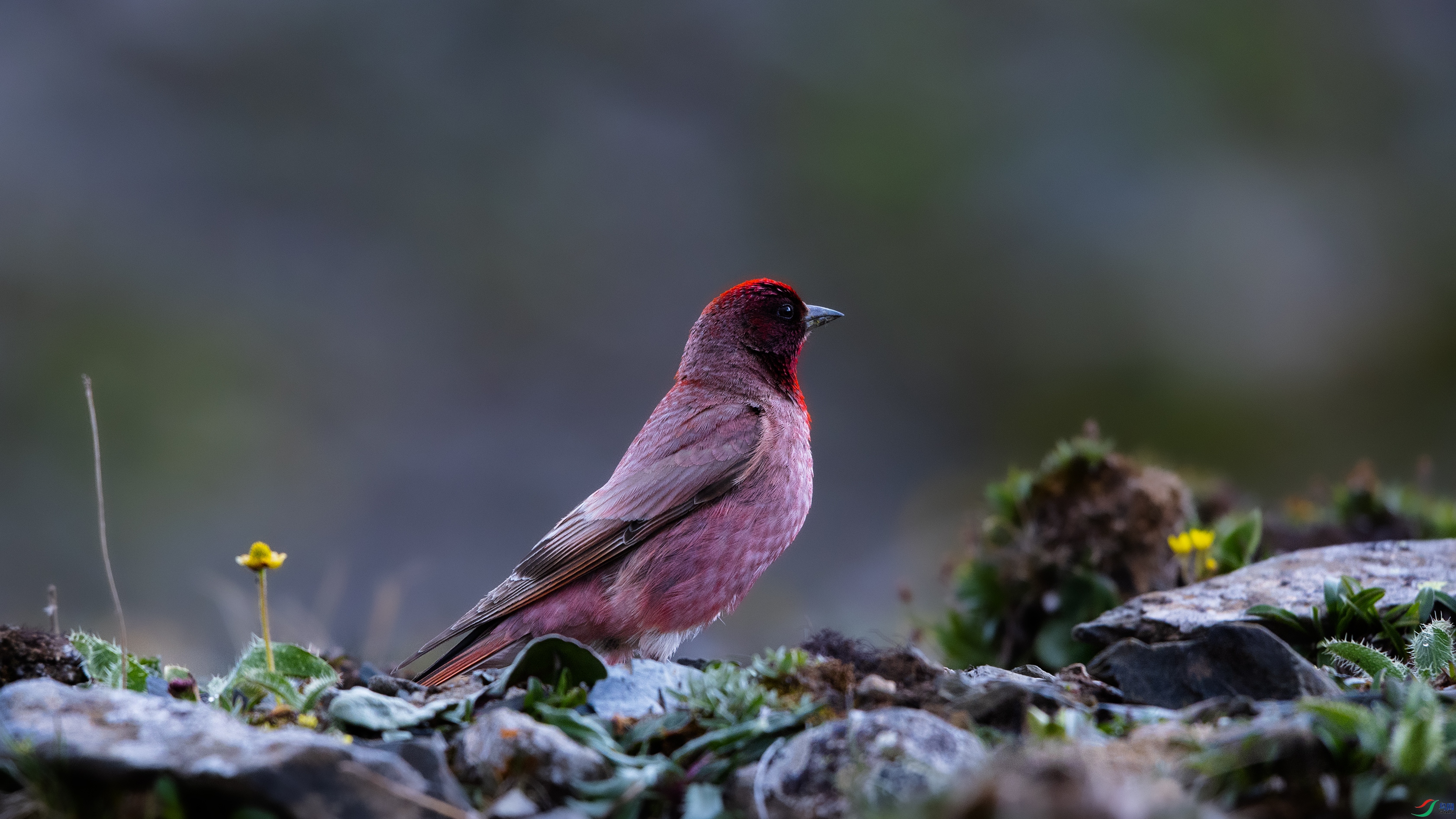 _O7A3882 ��44444.jpg