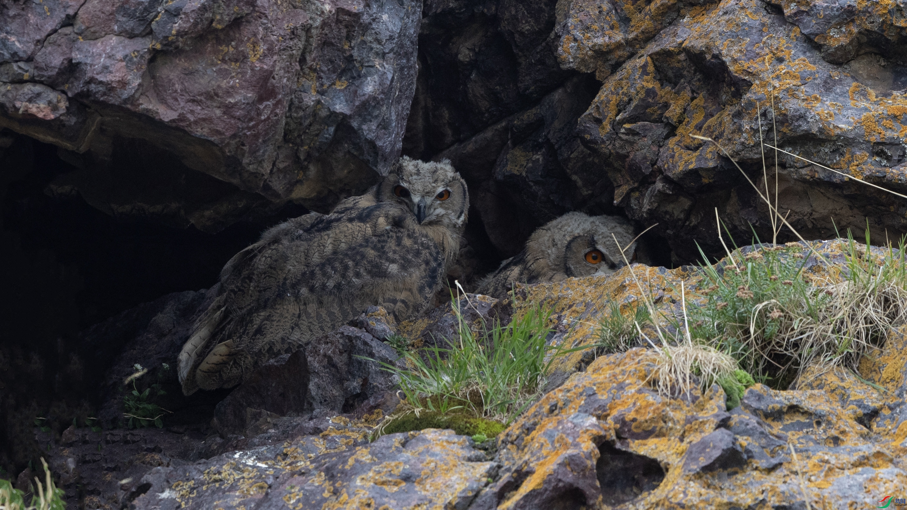 _O7A1127 ����.jpg