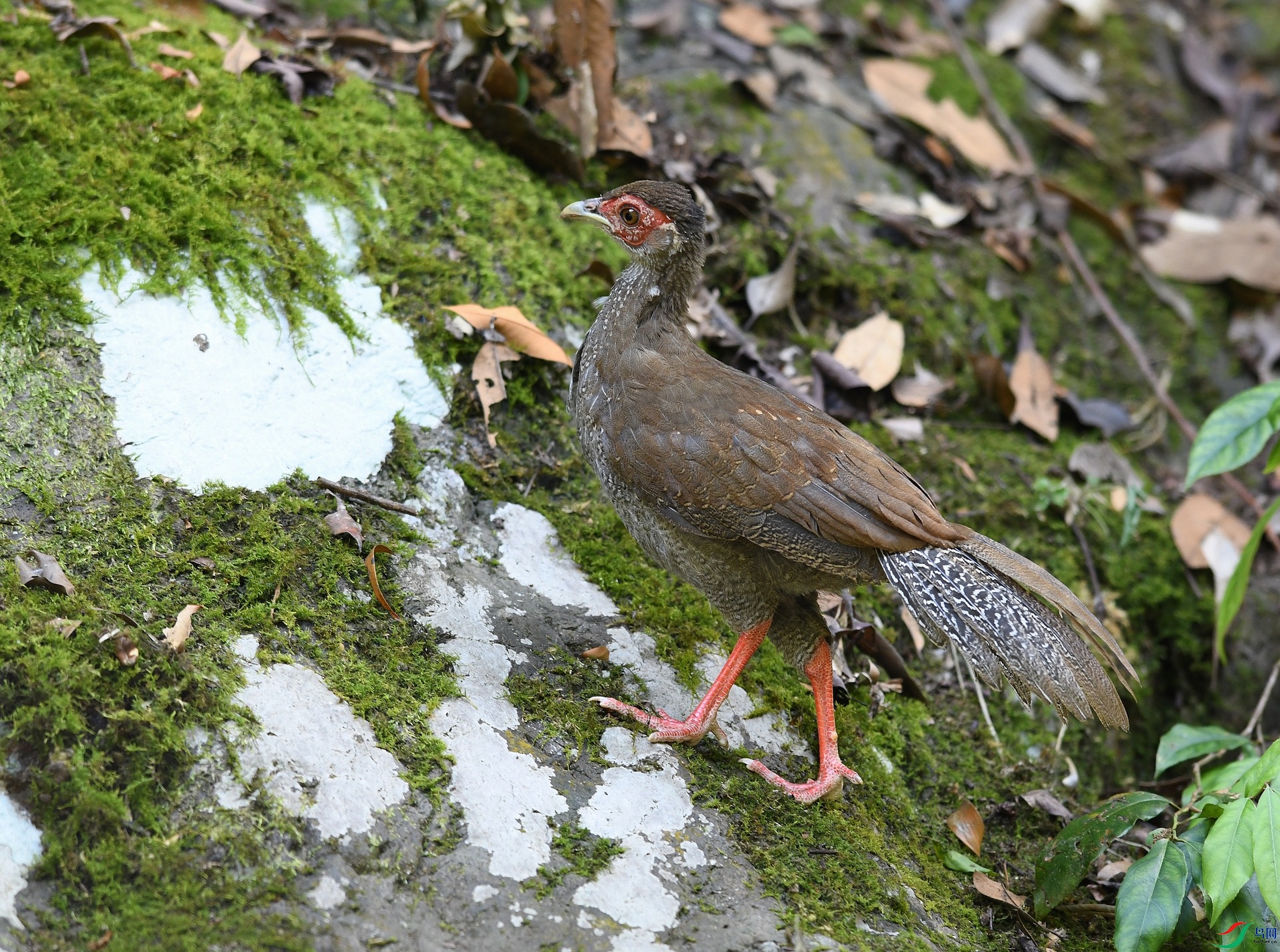 DSC_4276.jpg