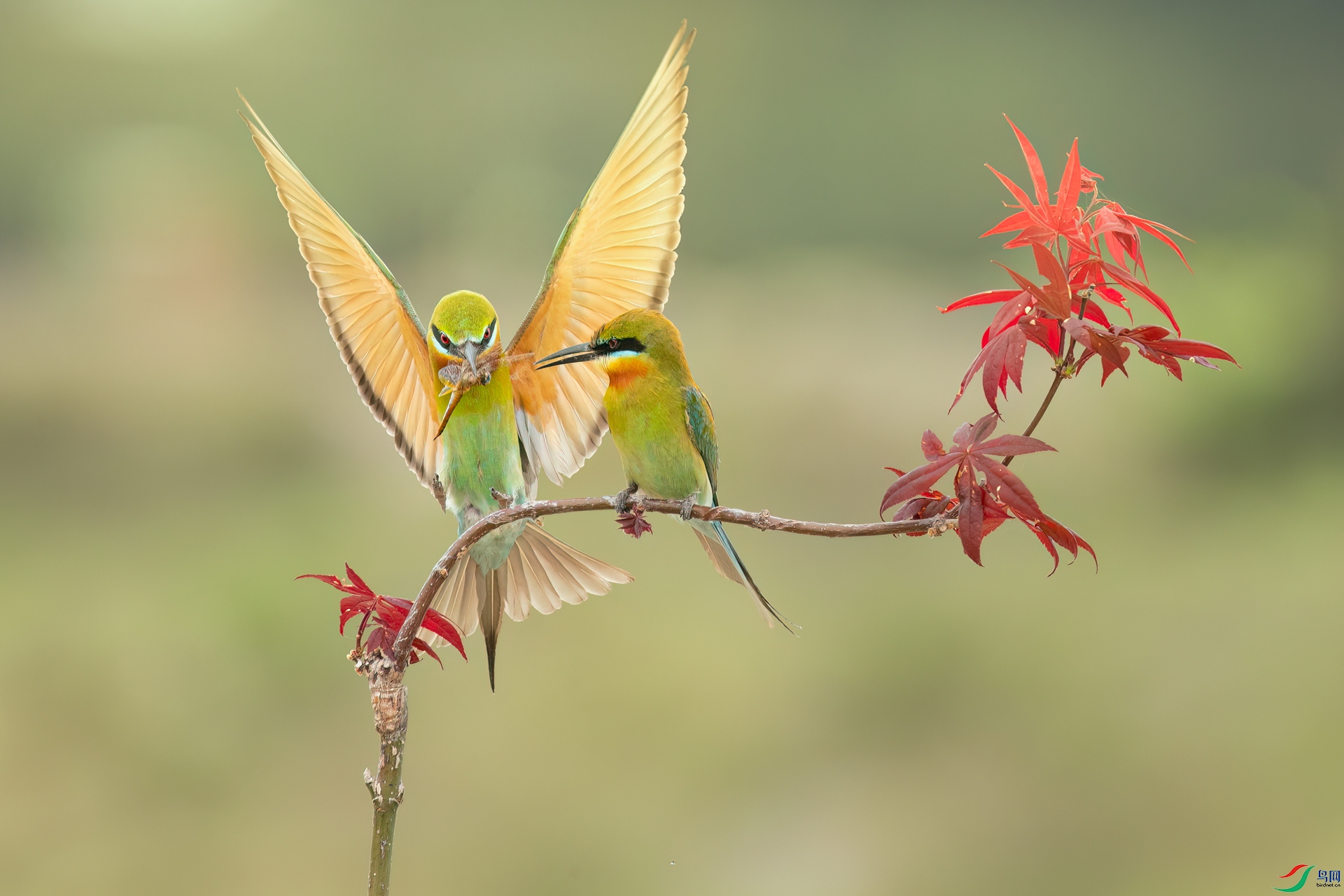 B86I8949 _����.jpg