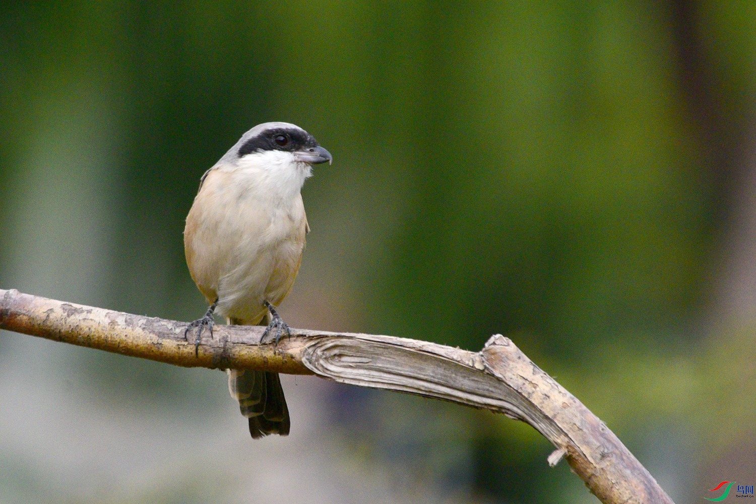DSC_3741.JPG