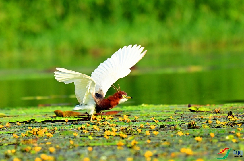 DSC_5854 - ����.JPG