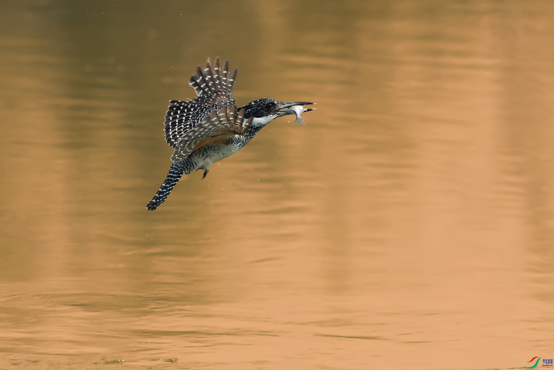 2DSC_1813_DxOa.jpg