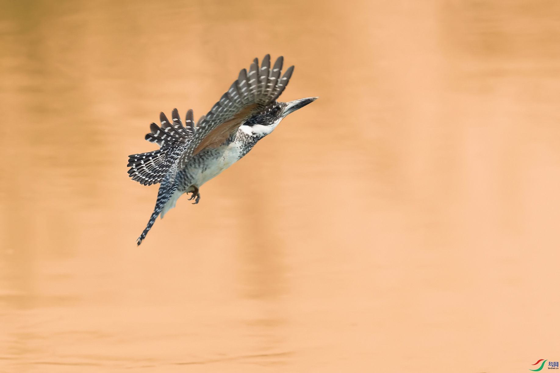 1DSC_1791_DxOa.jpg