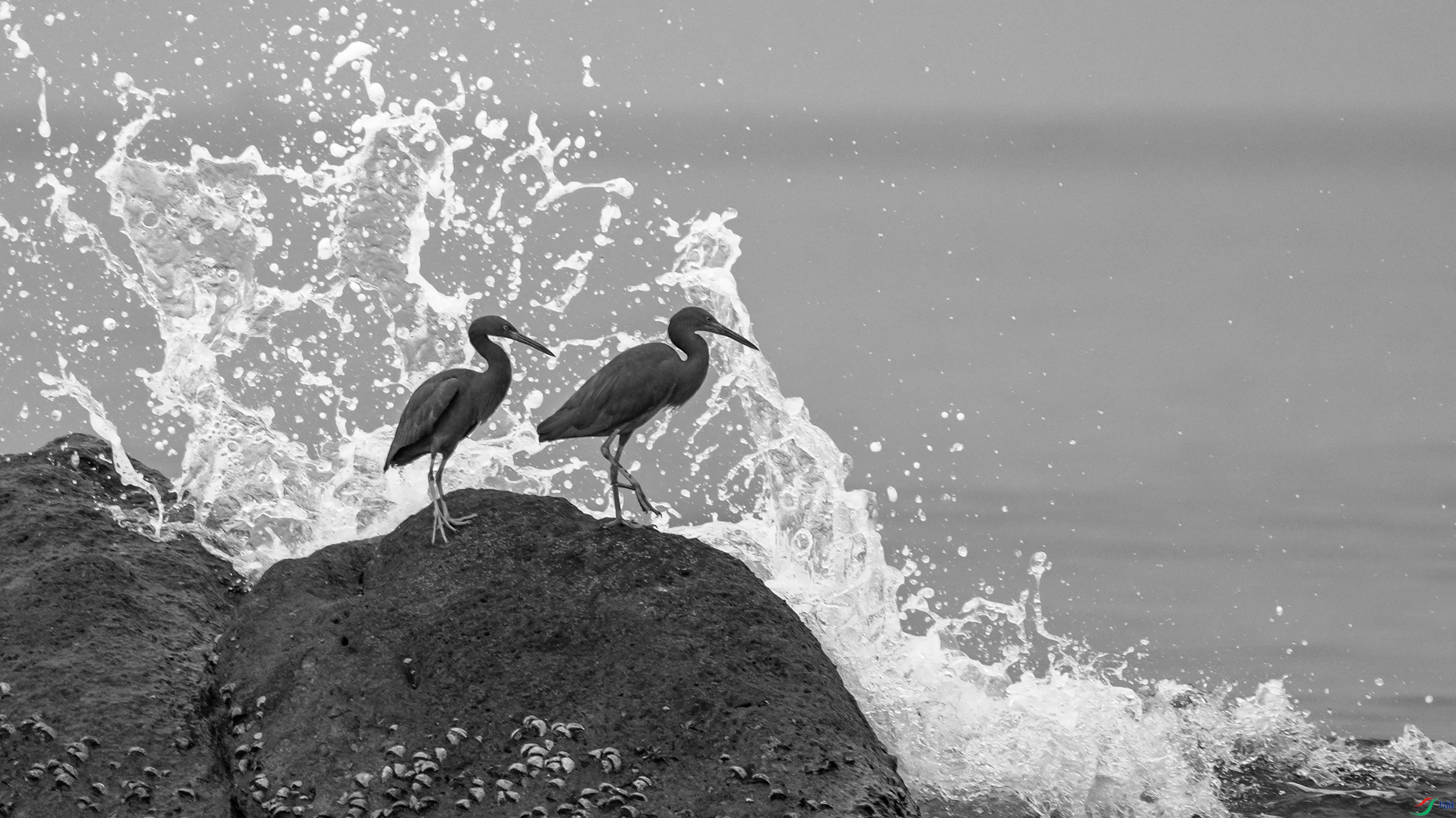 7682-1 ����.jpg