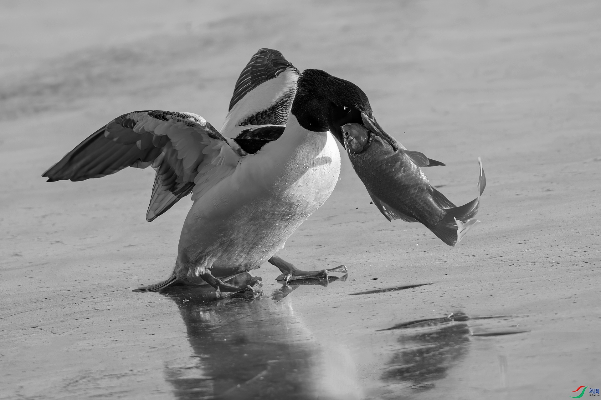DSC_1266-9.jpg