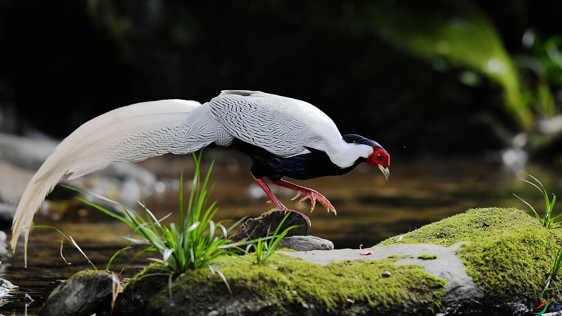 DSC_8328.jpg