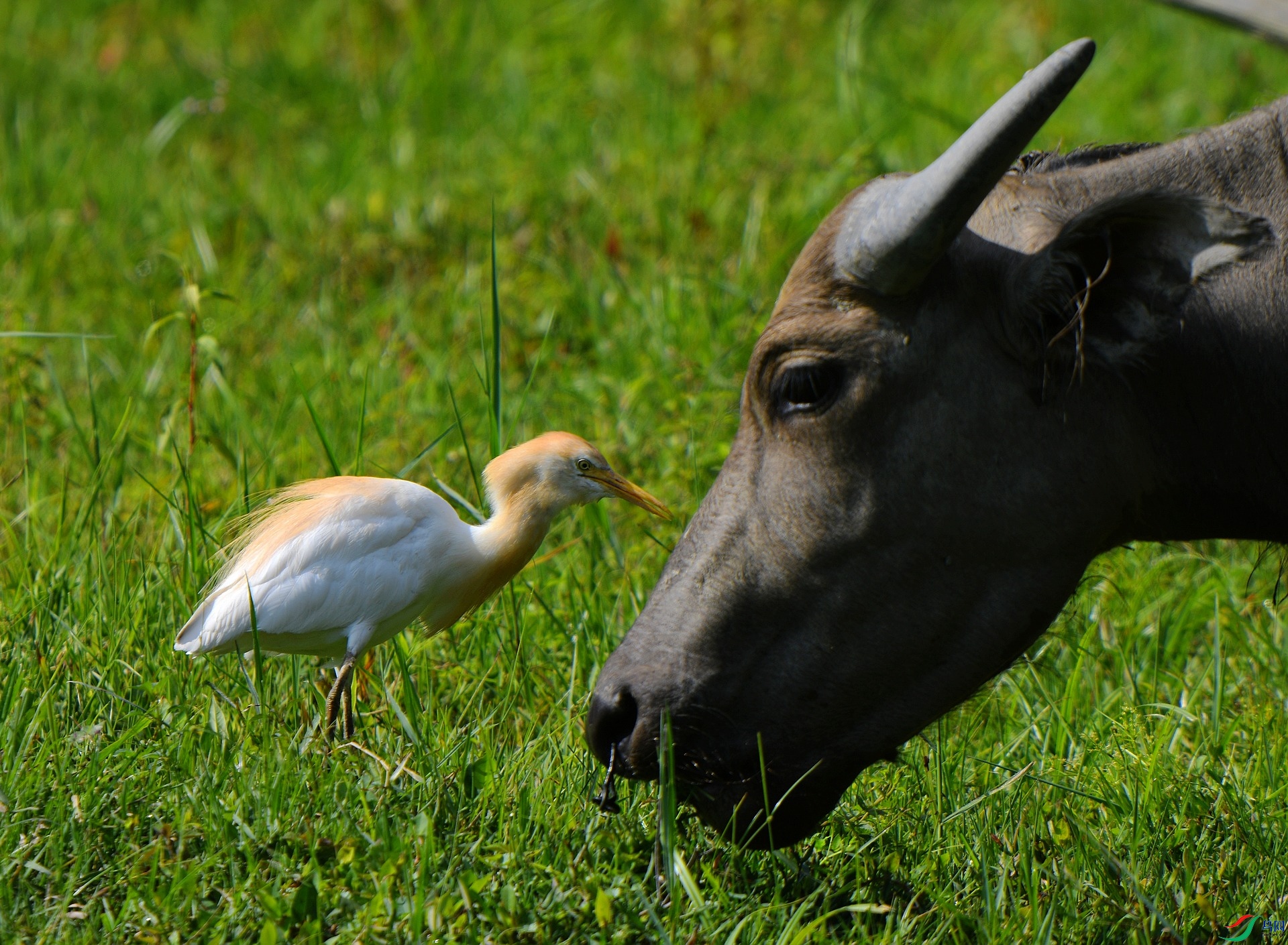 DSC_8823.jpg