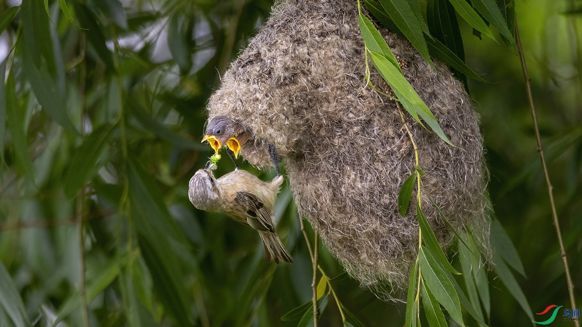 �л���ȸ����