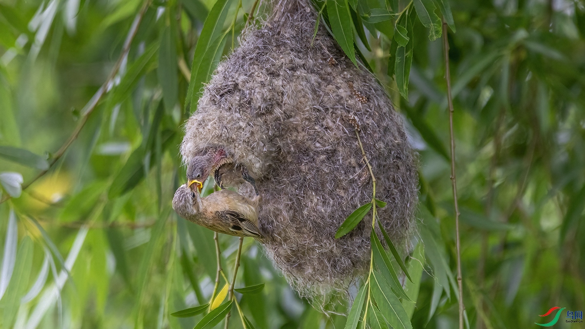 �л���ȸ����