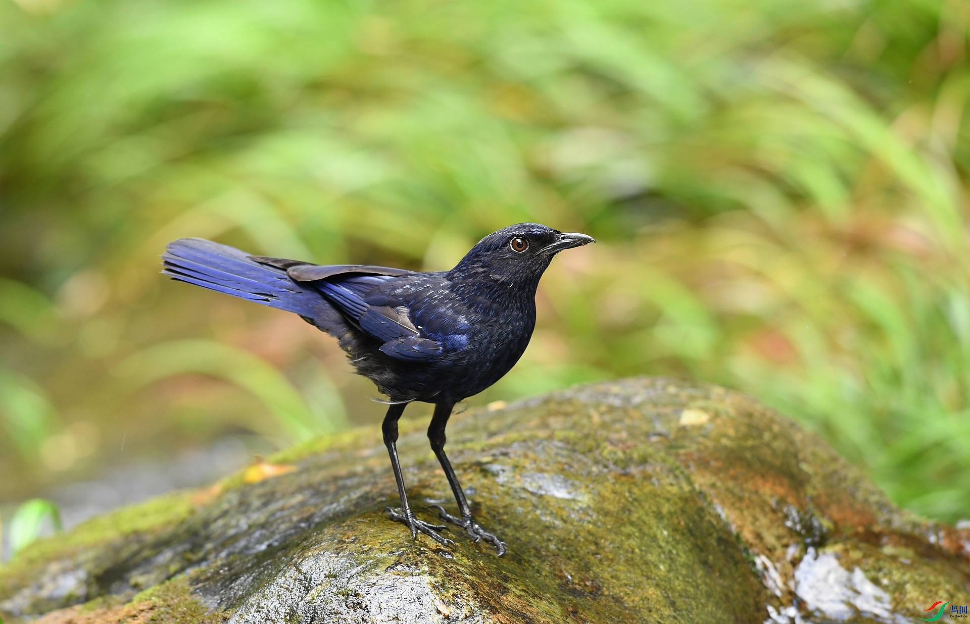 DSC_1034.jpg
