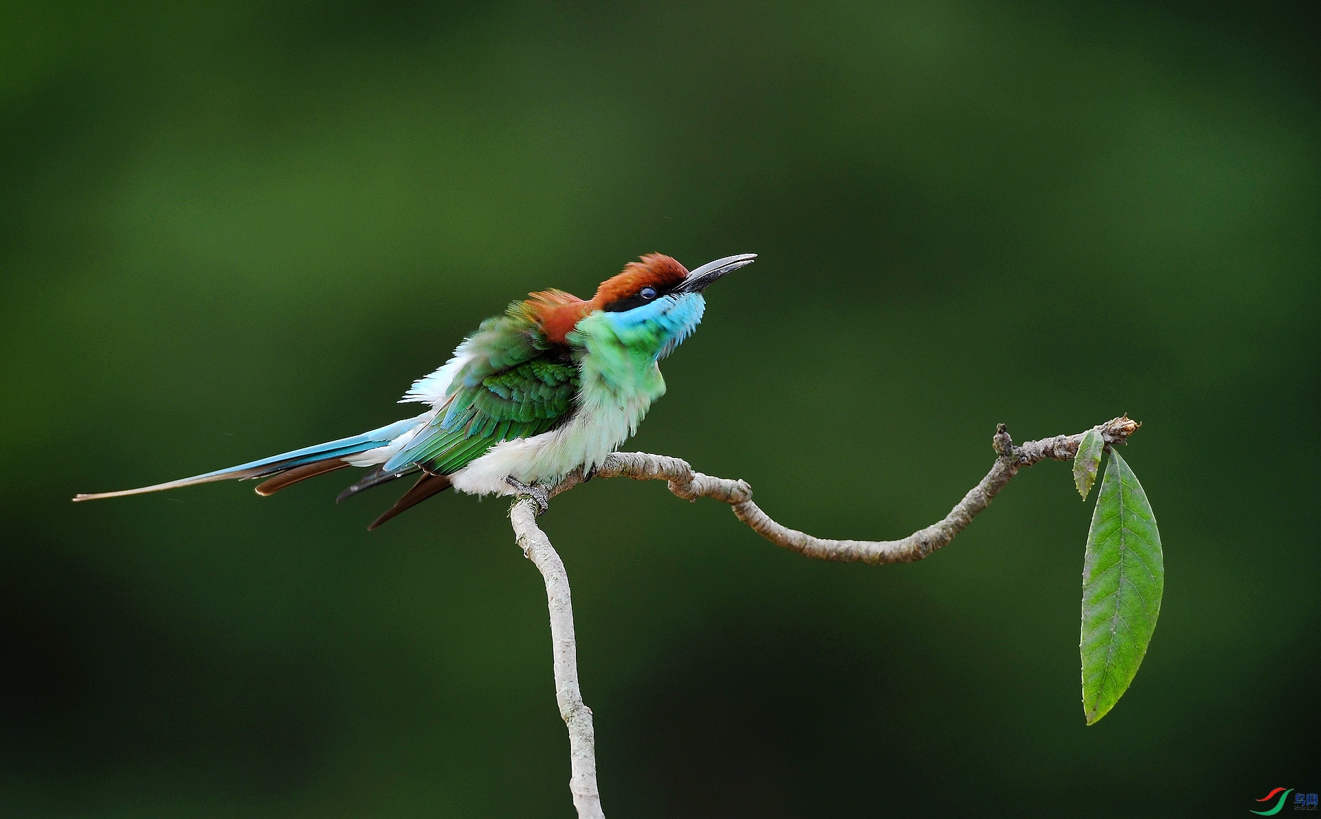 DSC_9591.jpg