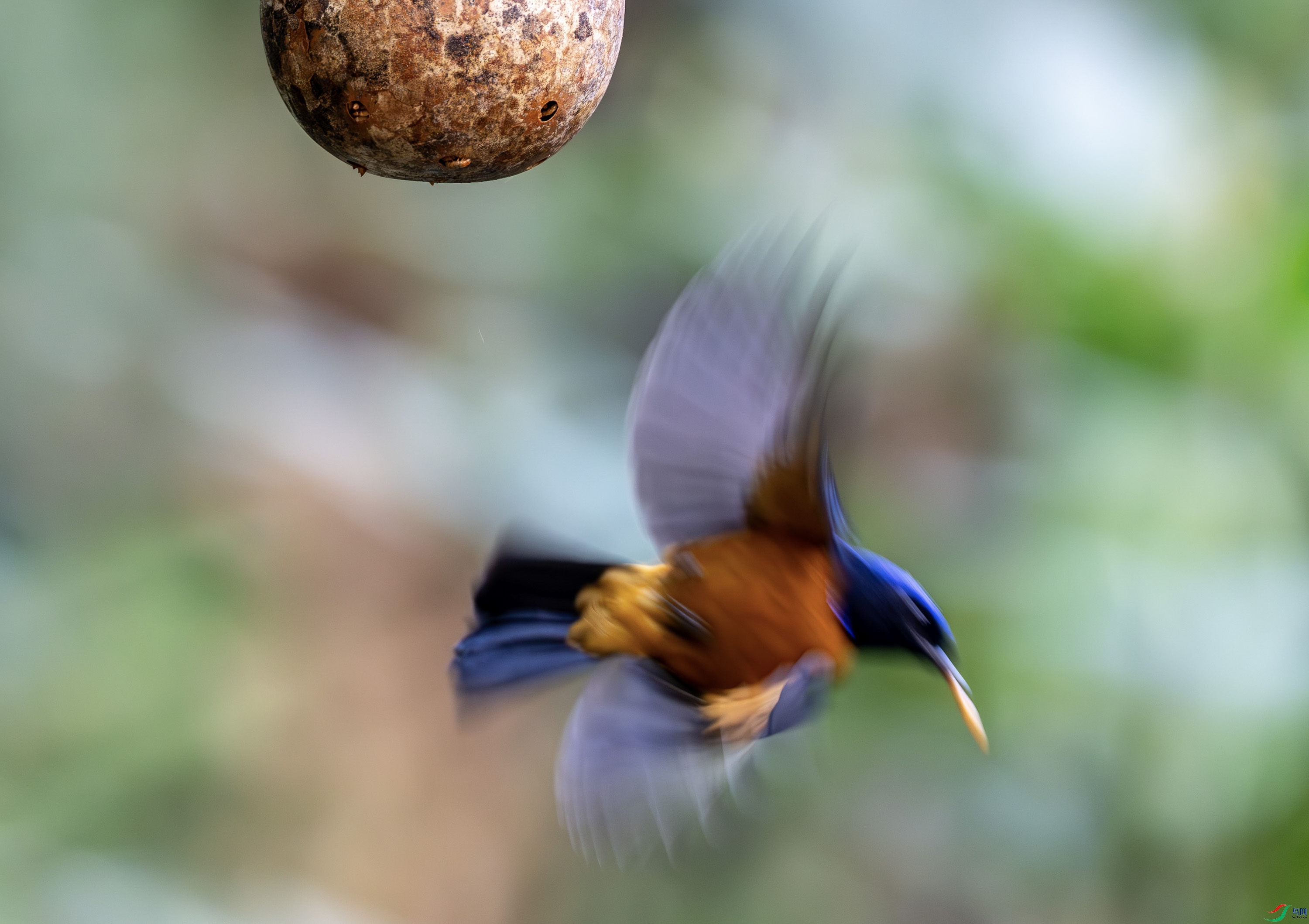 �ظ����l-2.jpg
