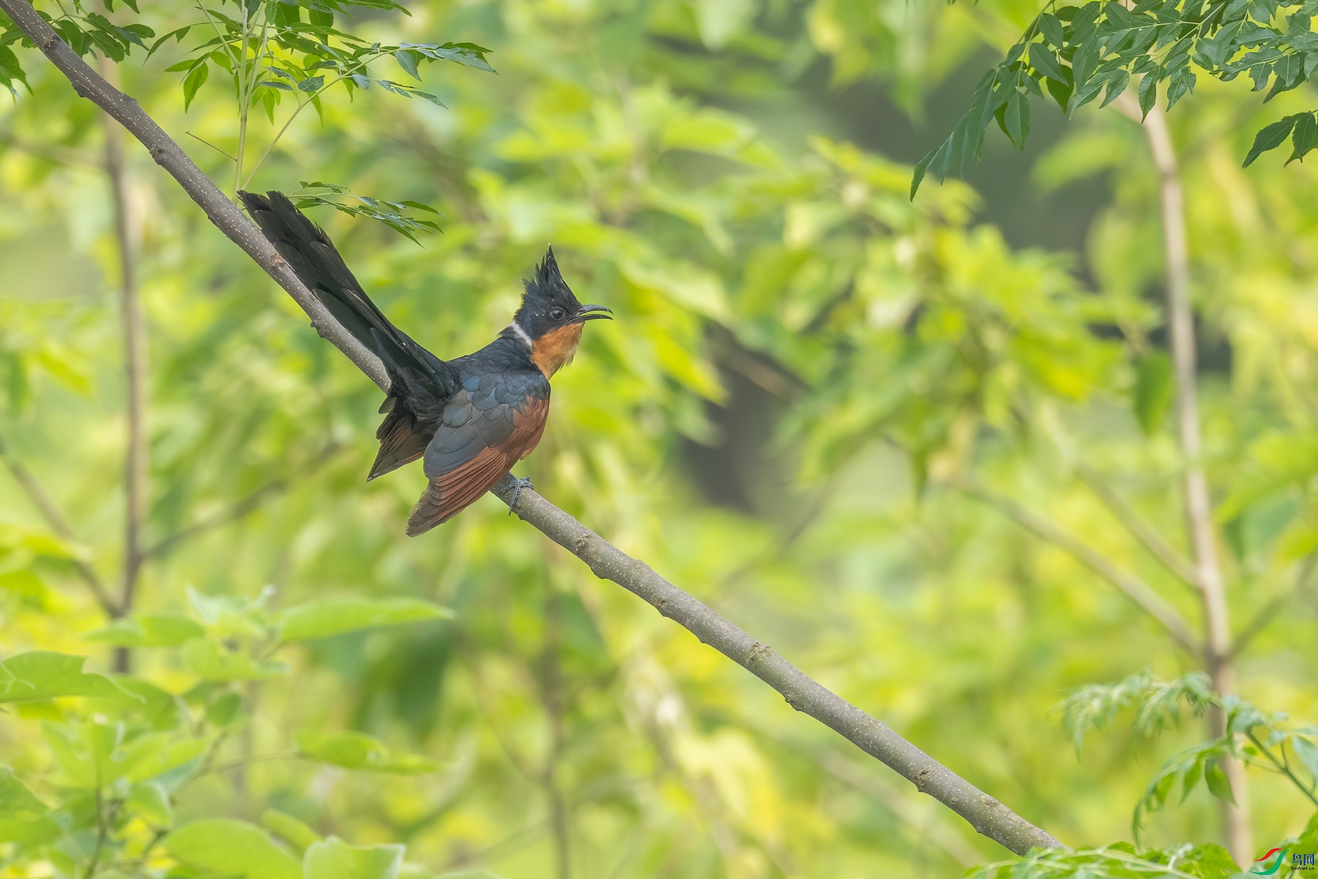 _32I6324 ����.jpg