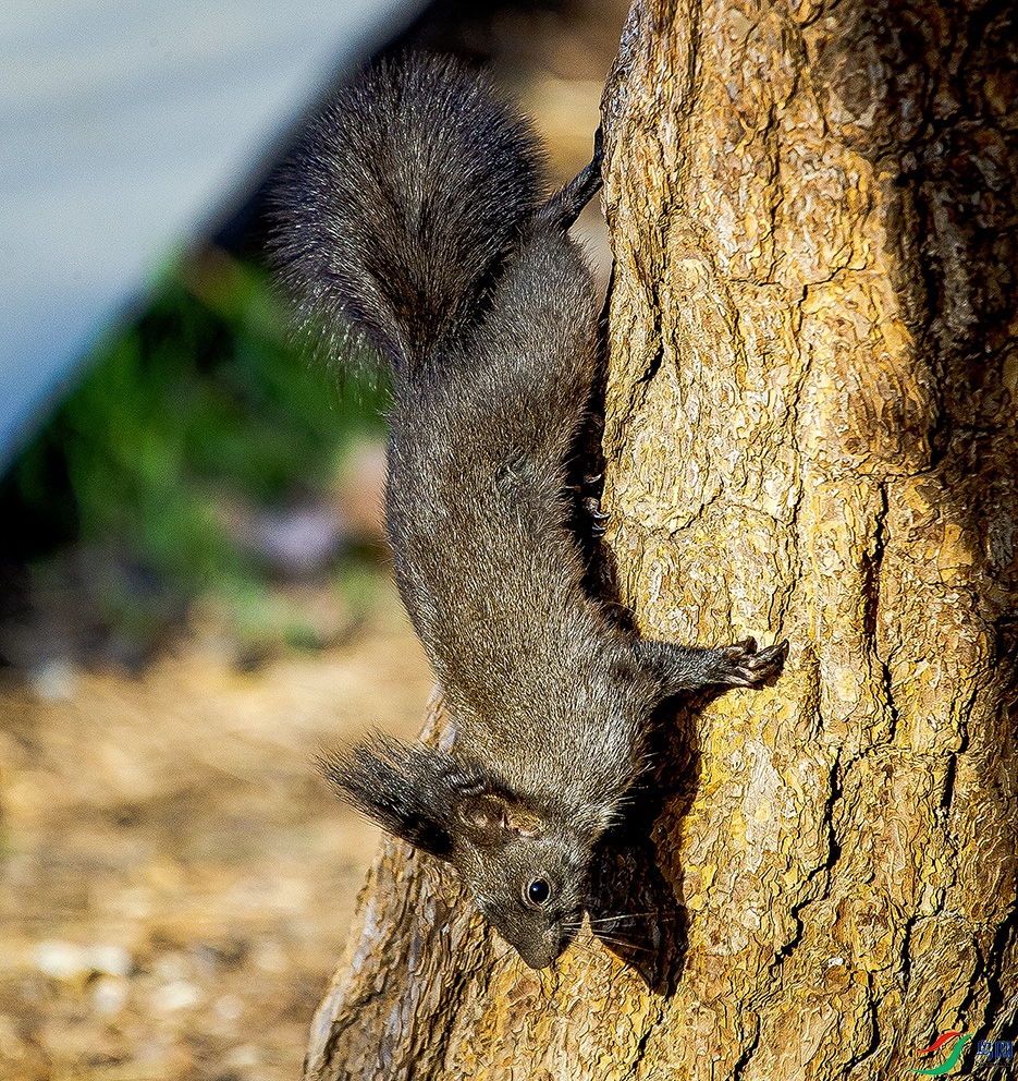 _MG_3878 ���� 2.jpg