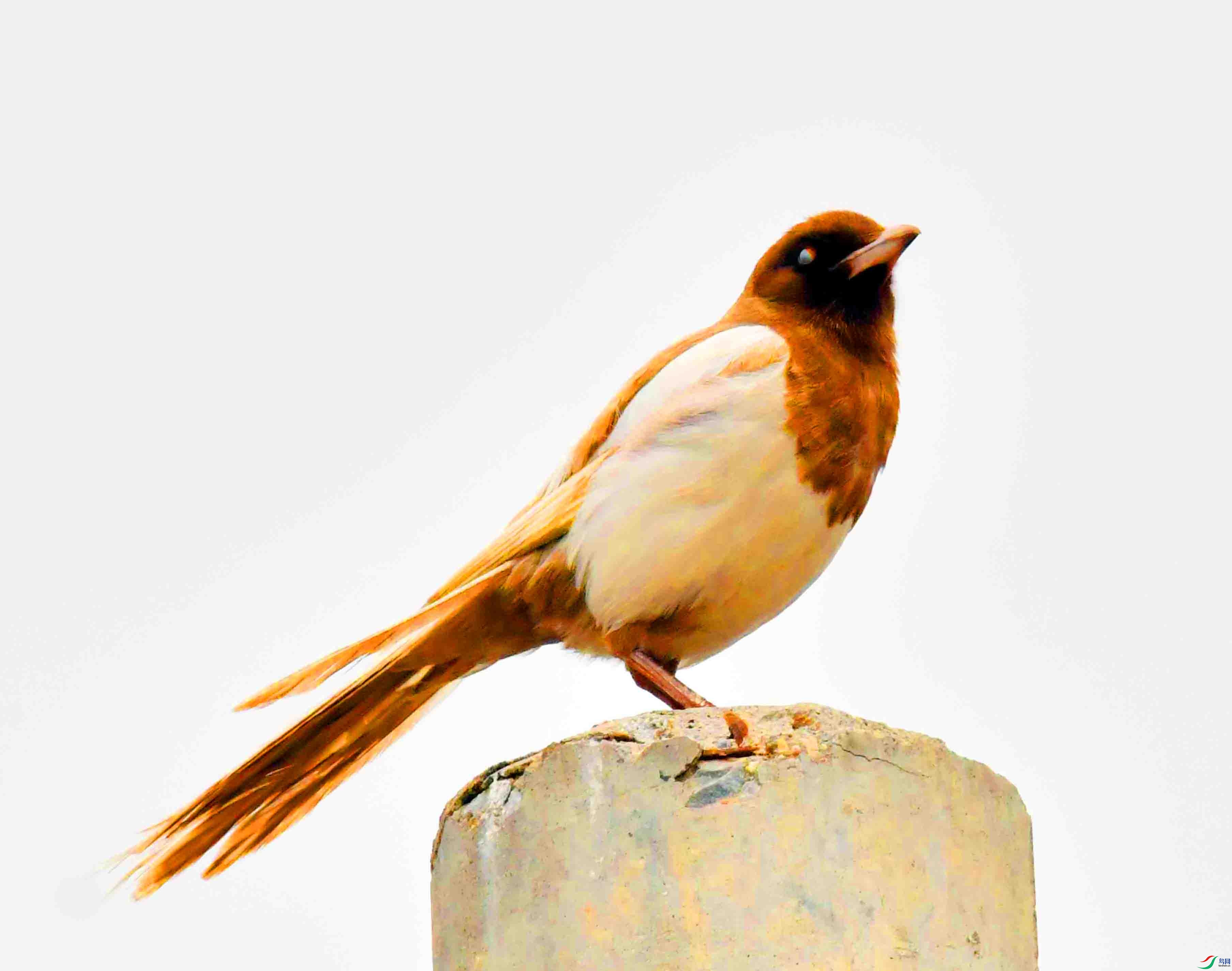 DSC_5244.JPG