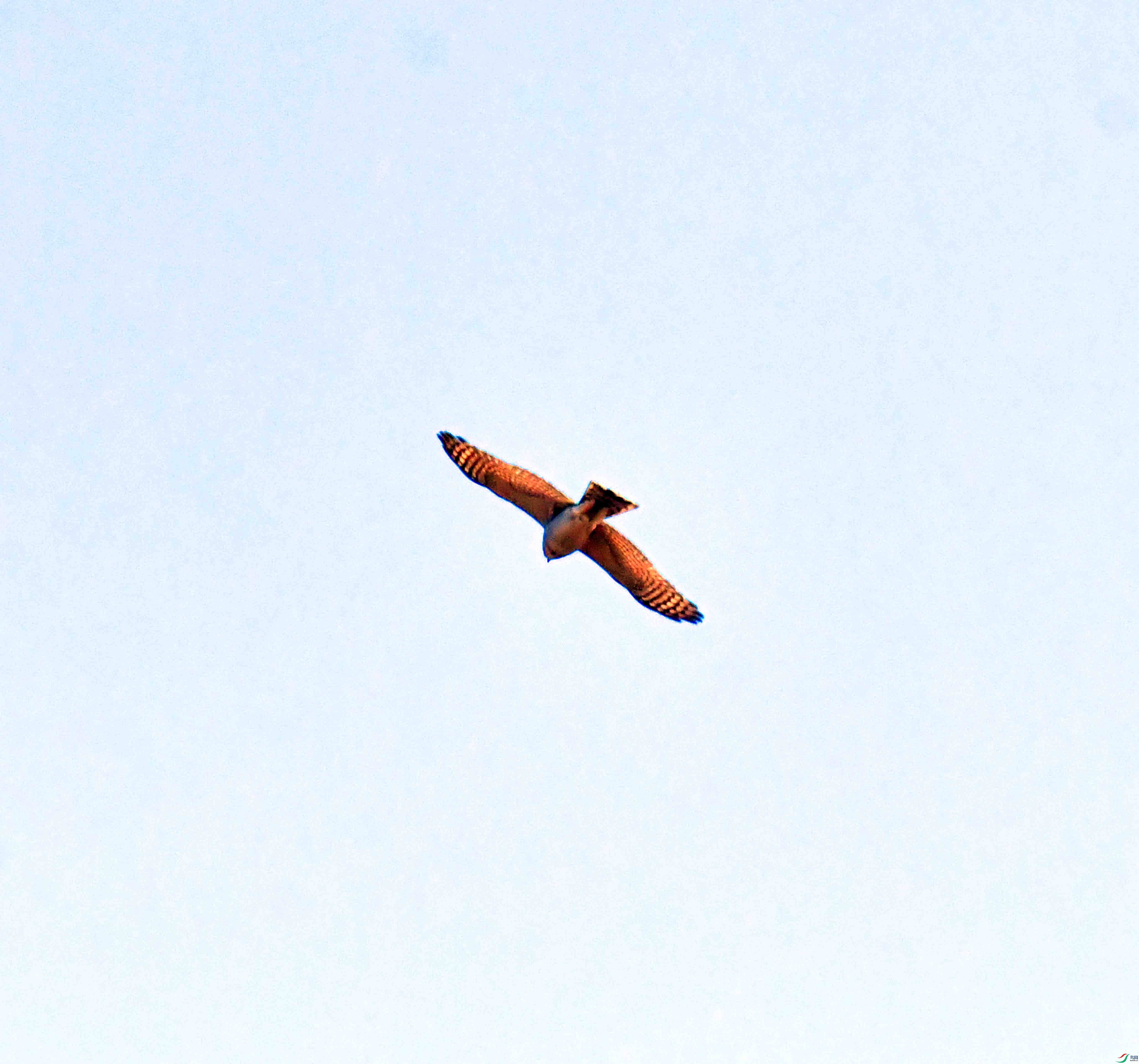 DSC_1107.JPG