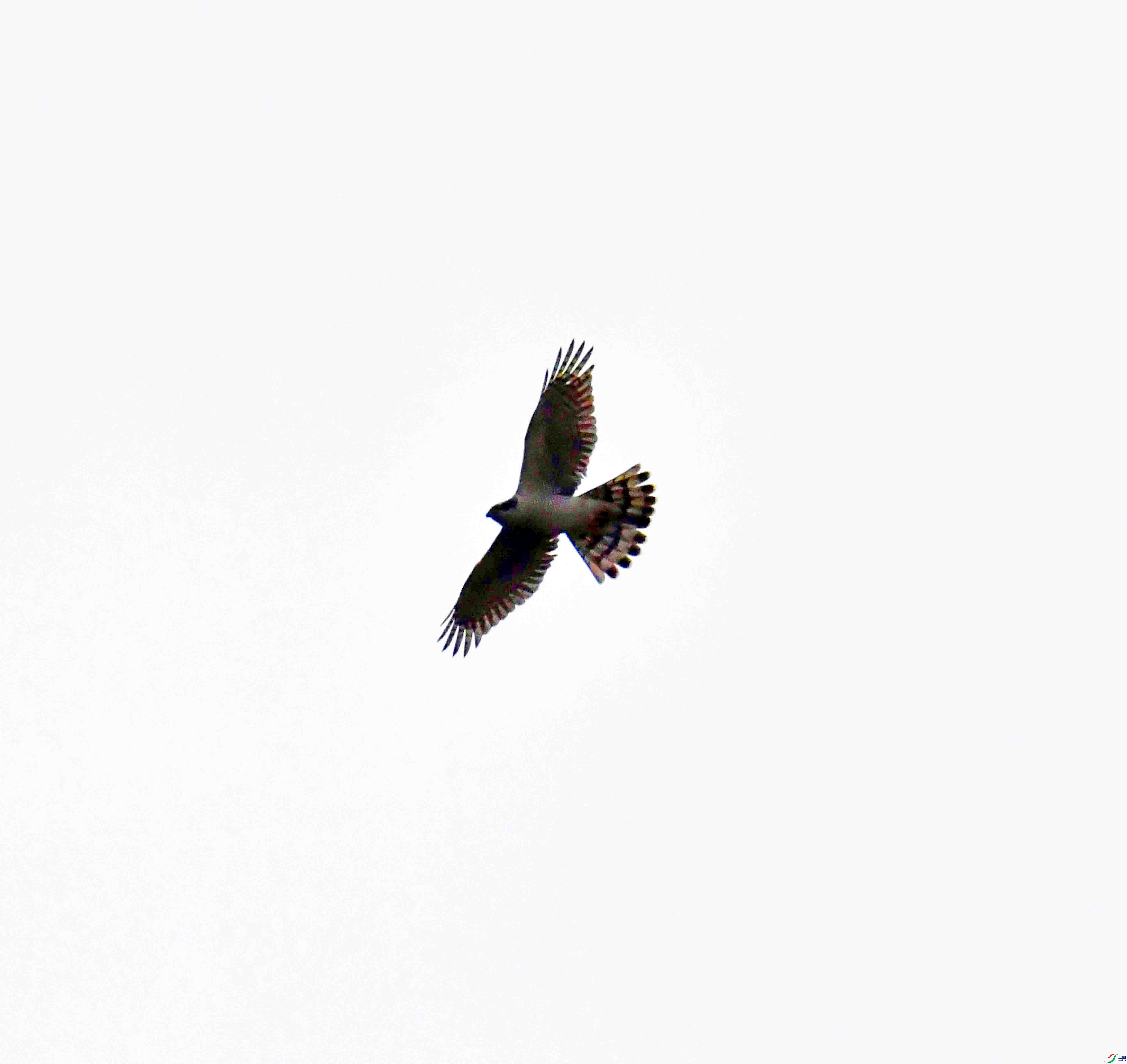 DSC_7066.JPG