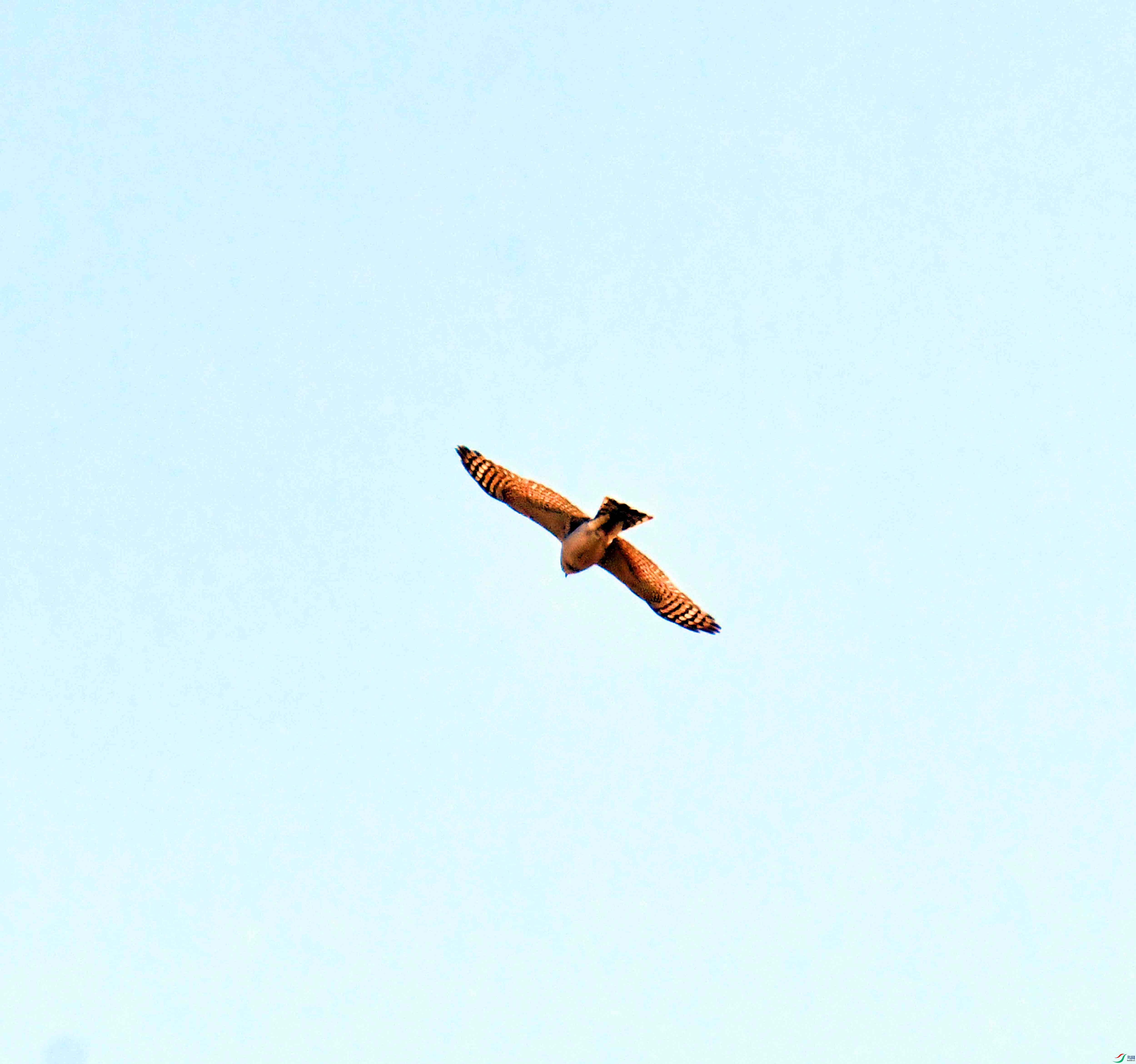 DSC_1108.JPG