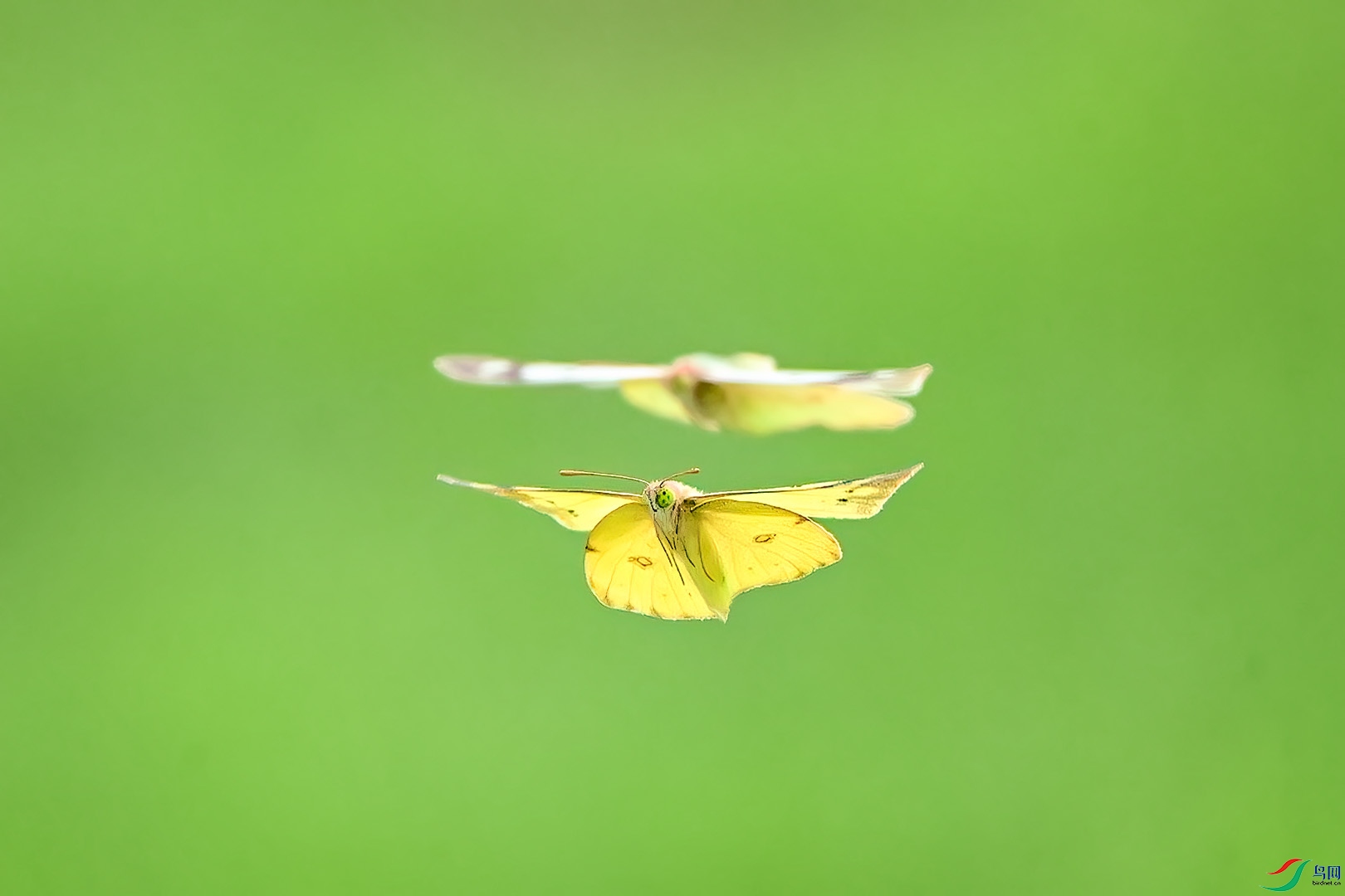 DSC_4830.jpg